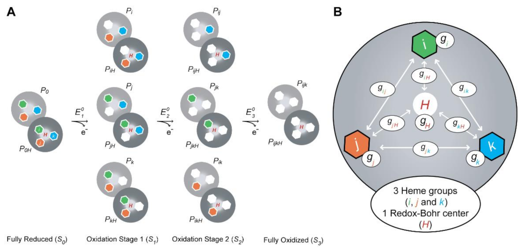 Antioxidants 10 00844 g008