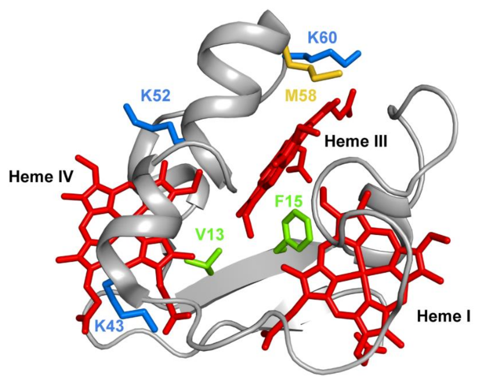 Antioxidants 10 00844 g012