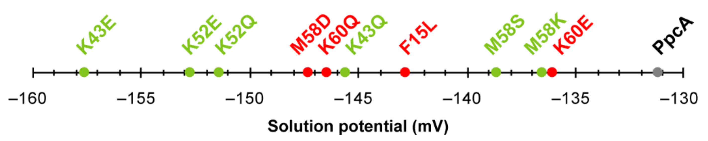 Antioxidants 10 00844 g013