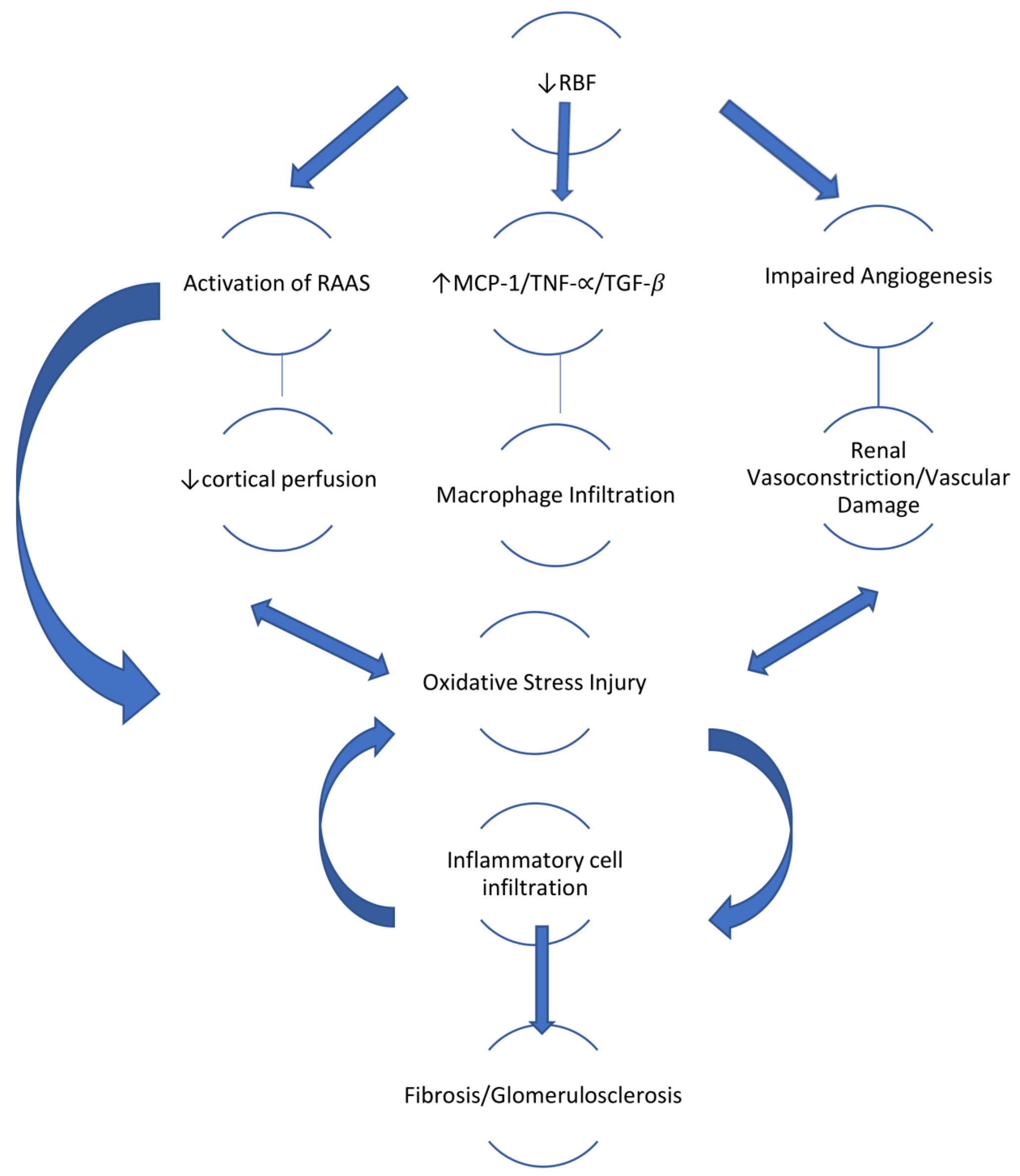 Antioxidants 10 00845 g001