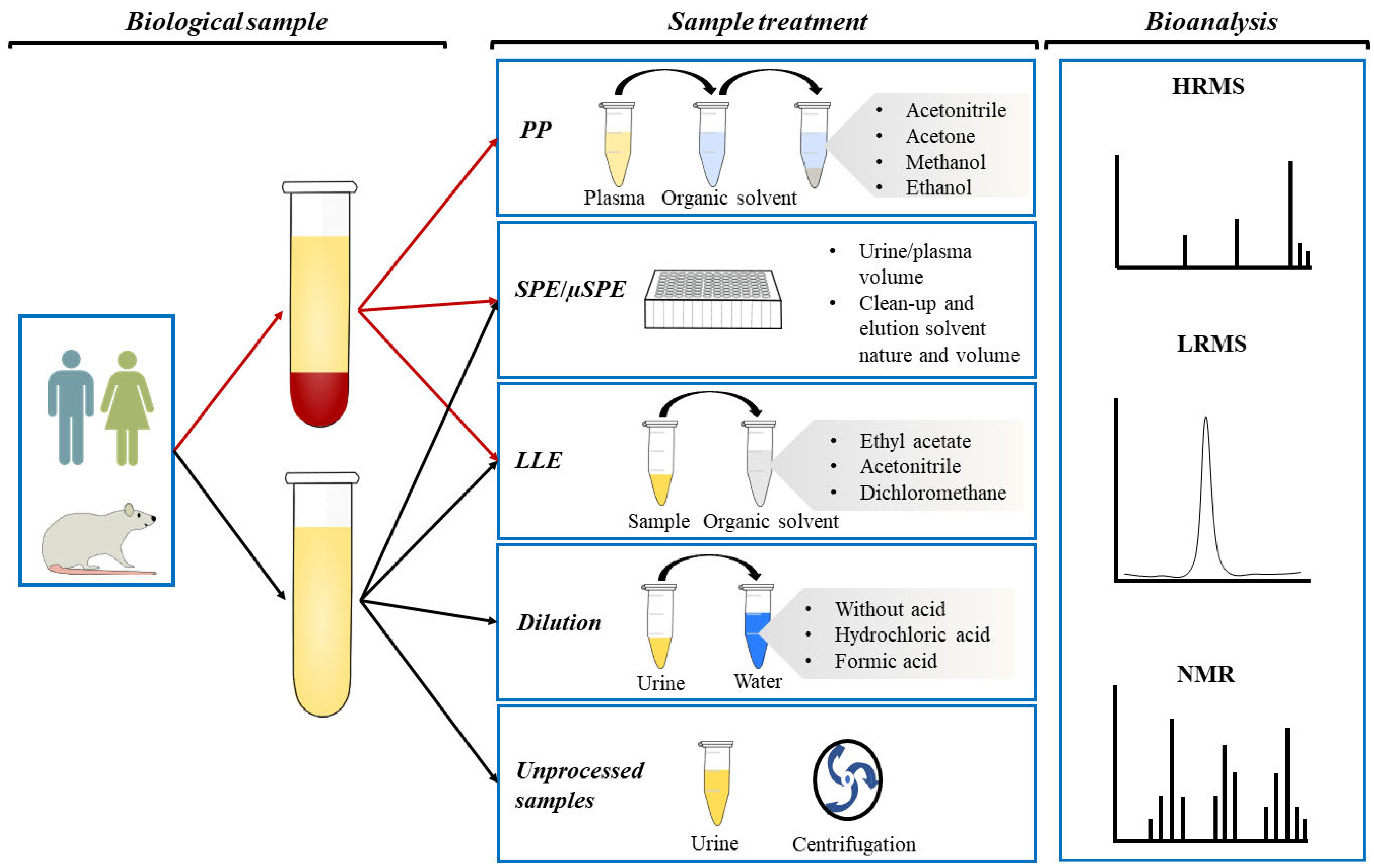 Antioxidants 10 00846 g001