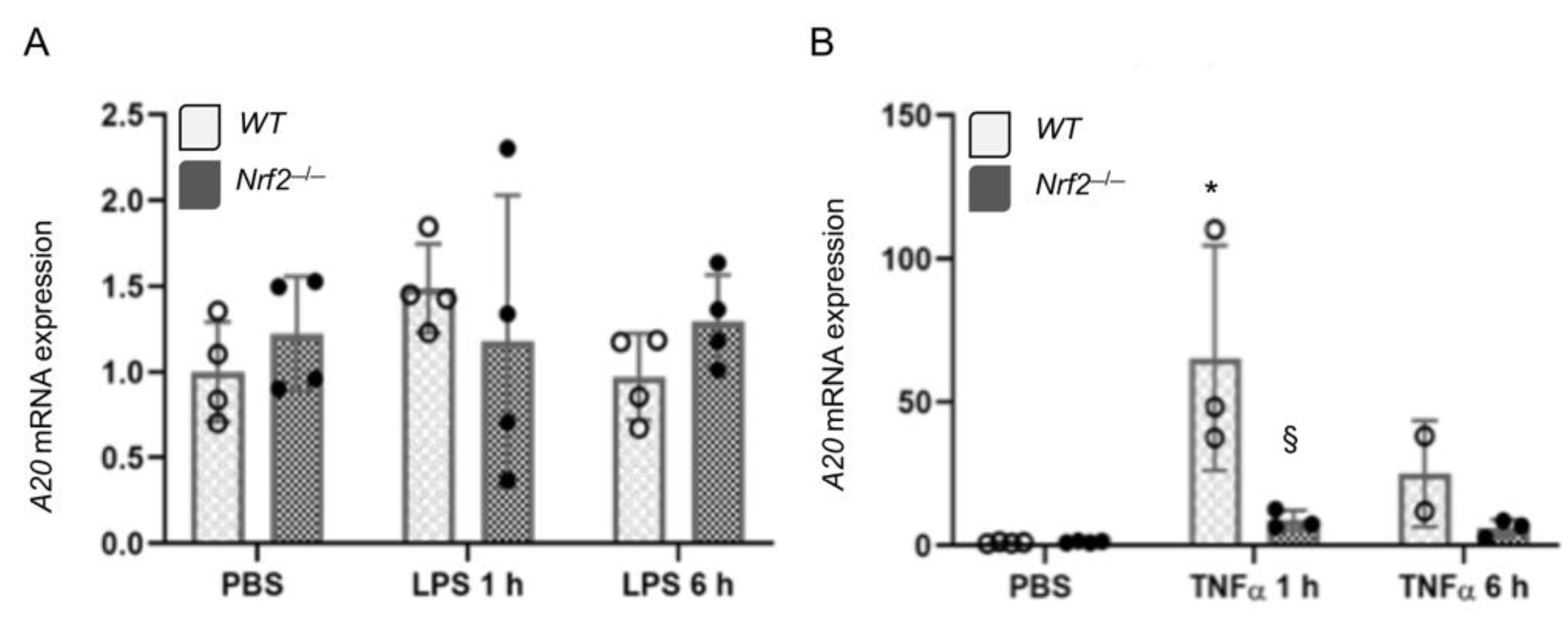 Antioxidants 10 00847 g002 Antioxidants 10 00847 g002