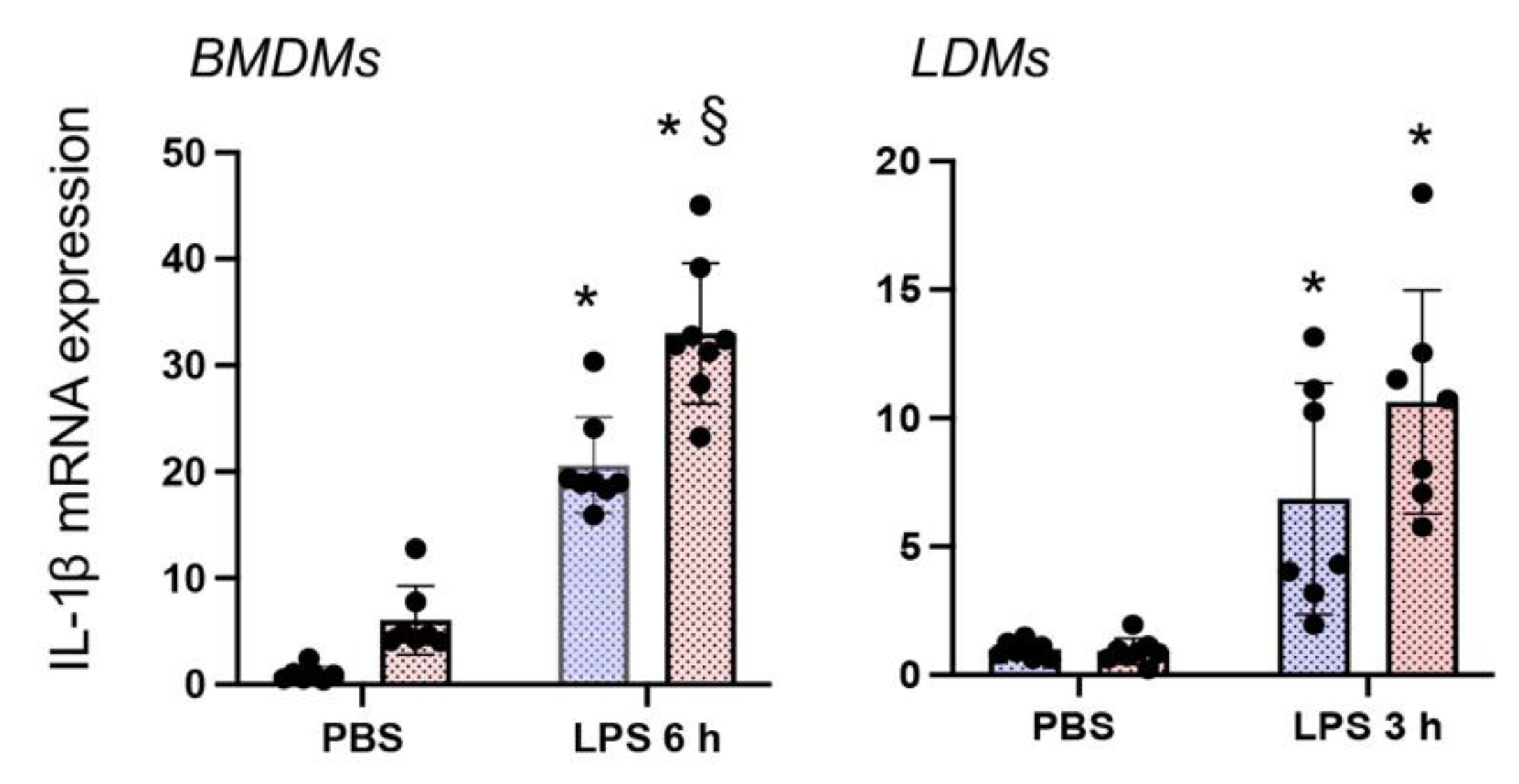 Antioxidants 10 00847 g004 Antioxidants 10 00847 g004