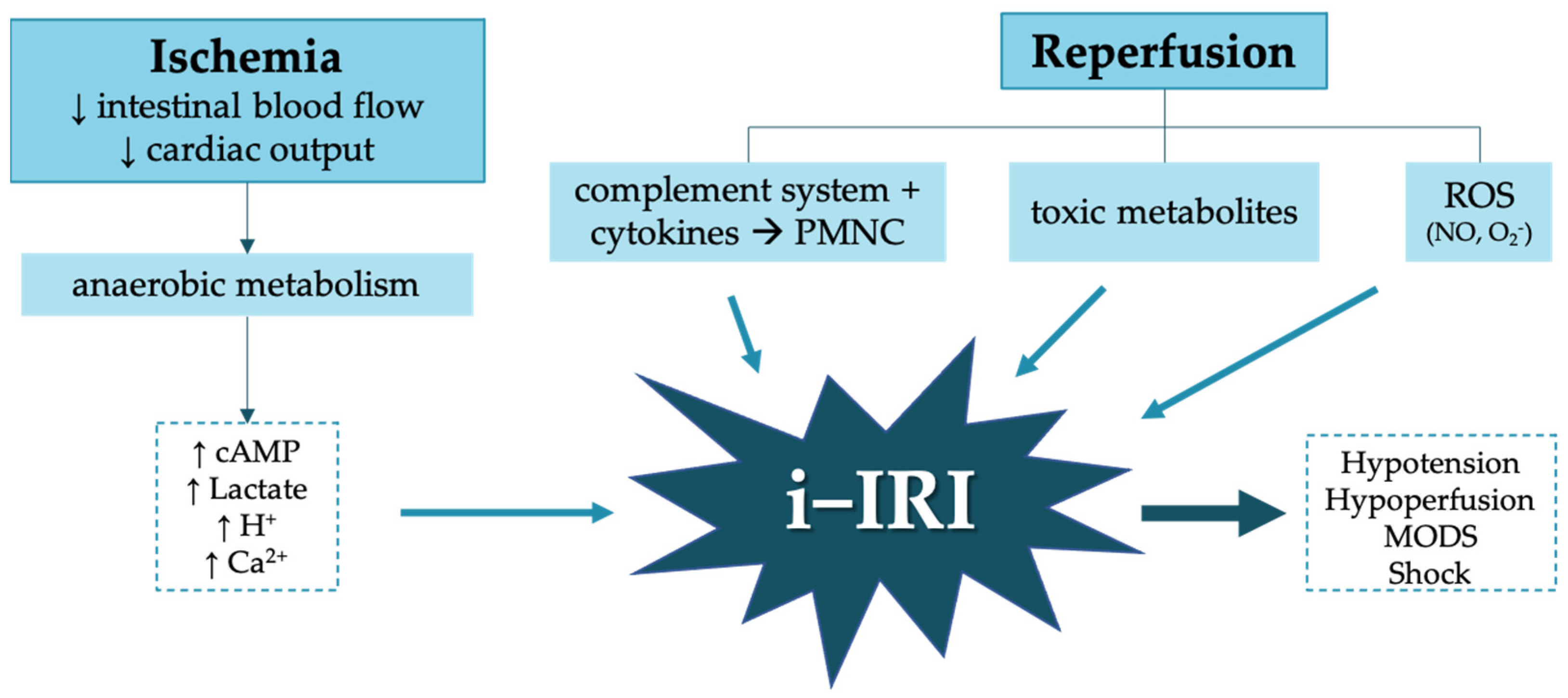 Antioxidants 10 00853 g001 Antioxidants 10 00853 g001