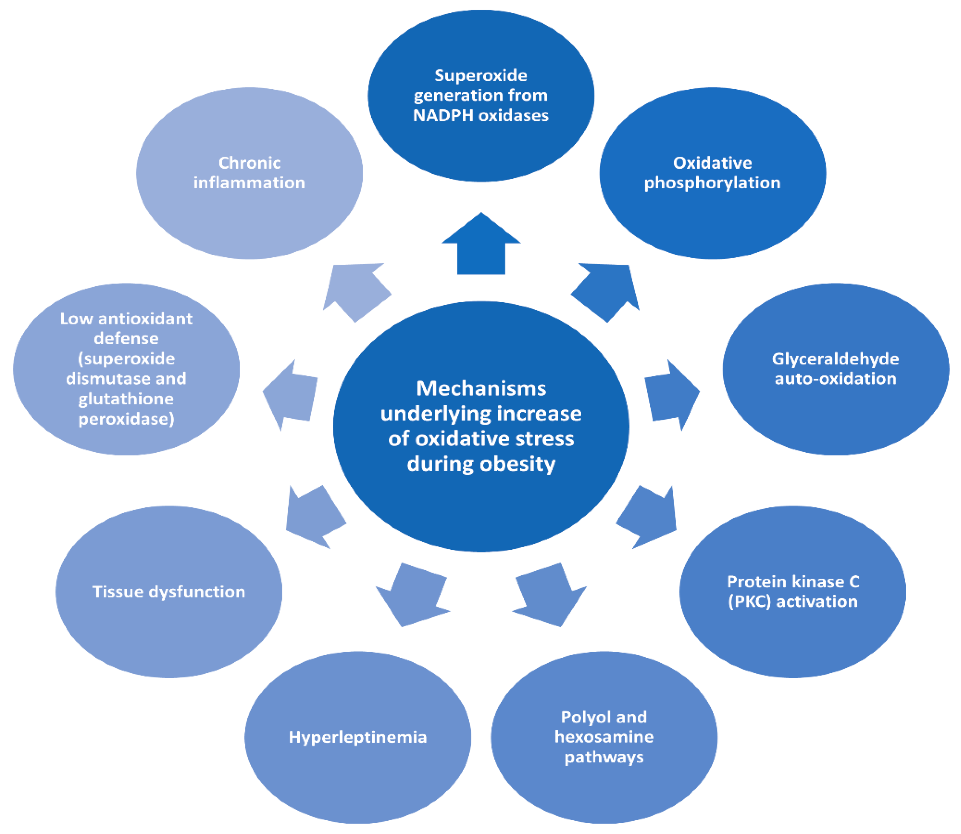 Antioxidants 10 00858 g001