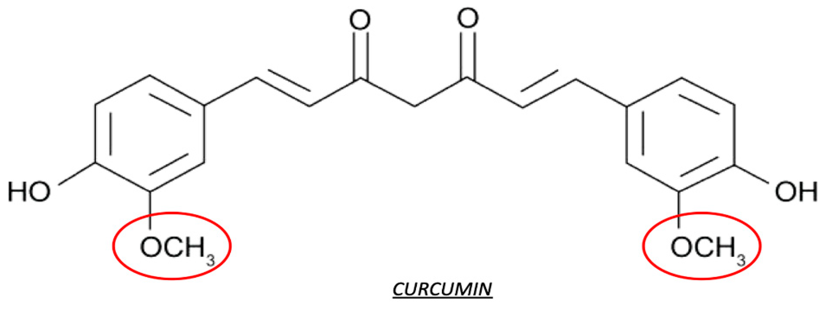 Antioxidants 10 00858 g006