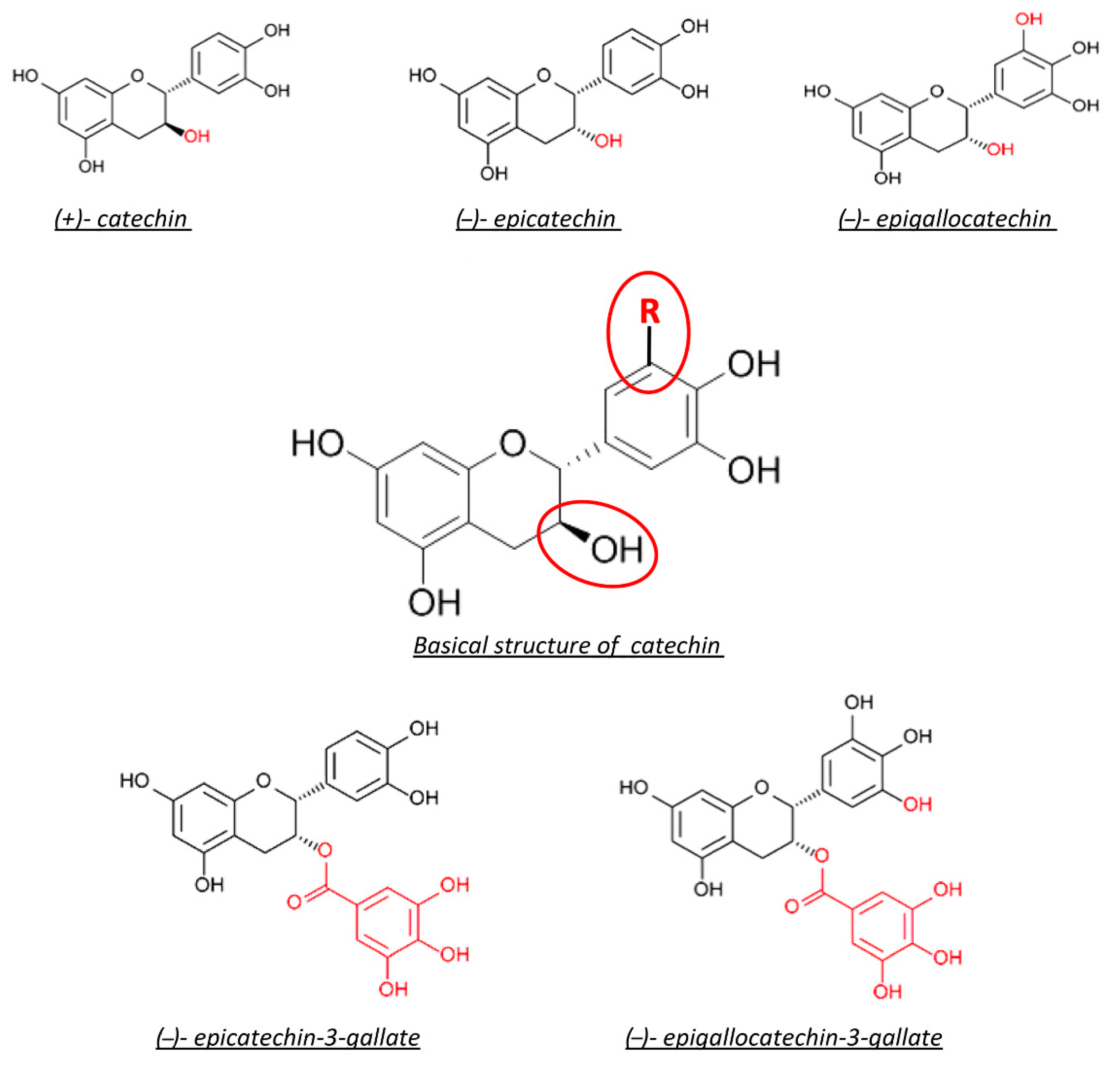 Antioxidants 10 00858 g008