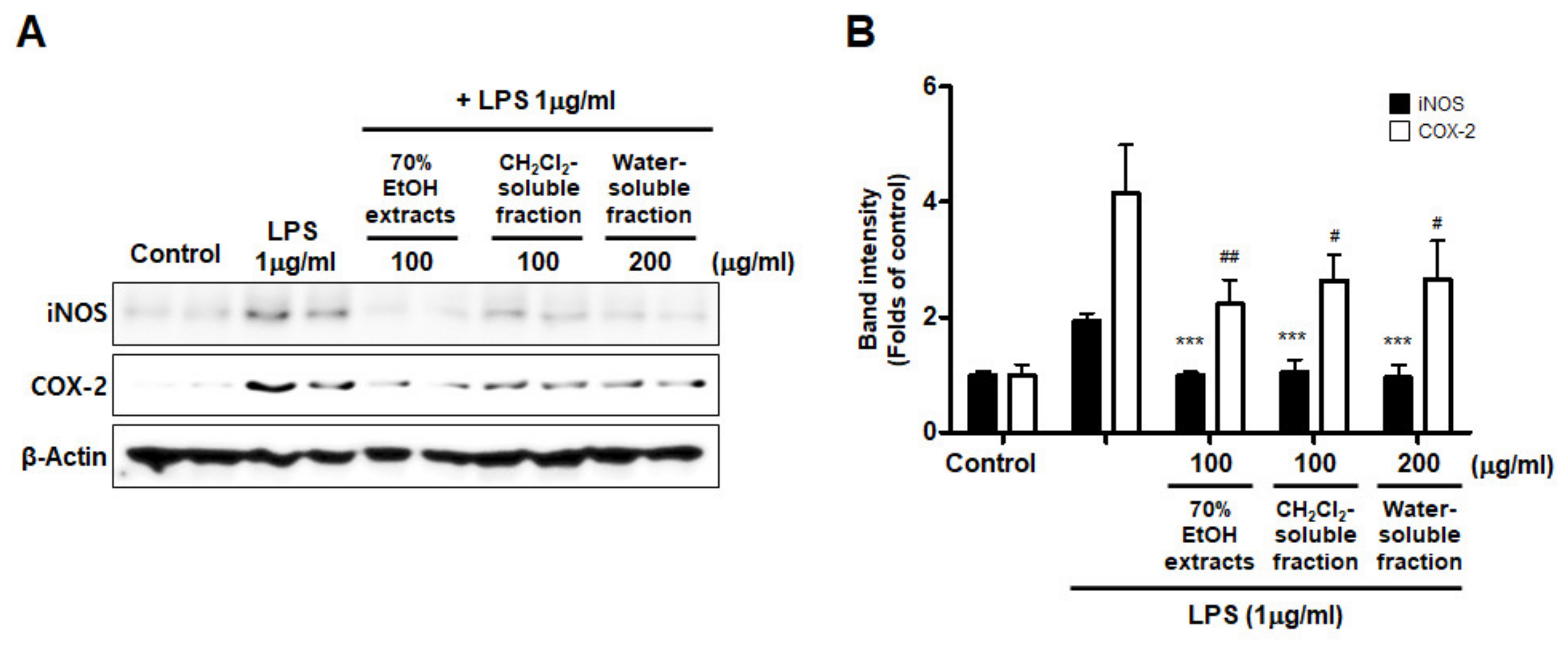 Antioxidants 10 00859 g008