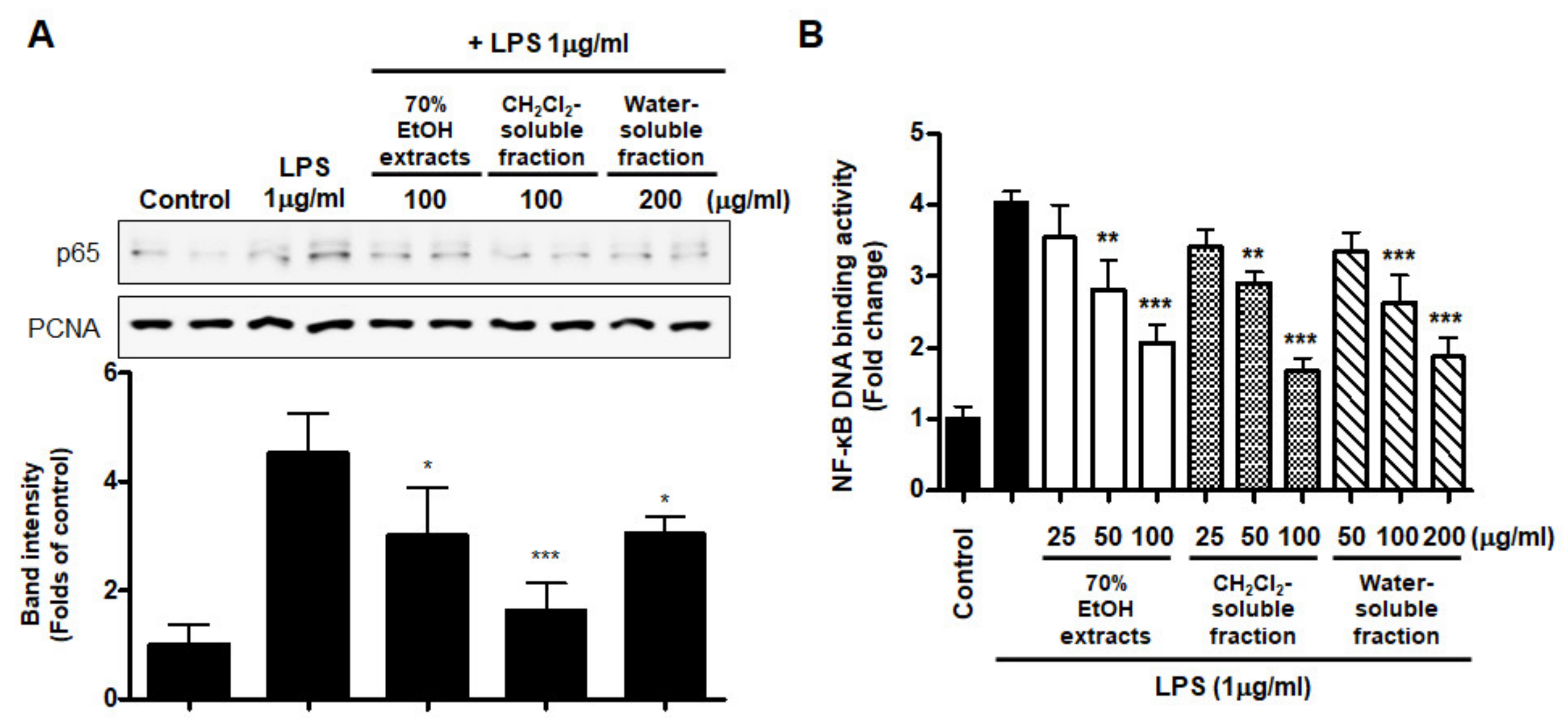 Antioxidants 10 00859 g009
