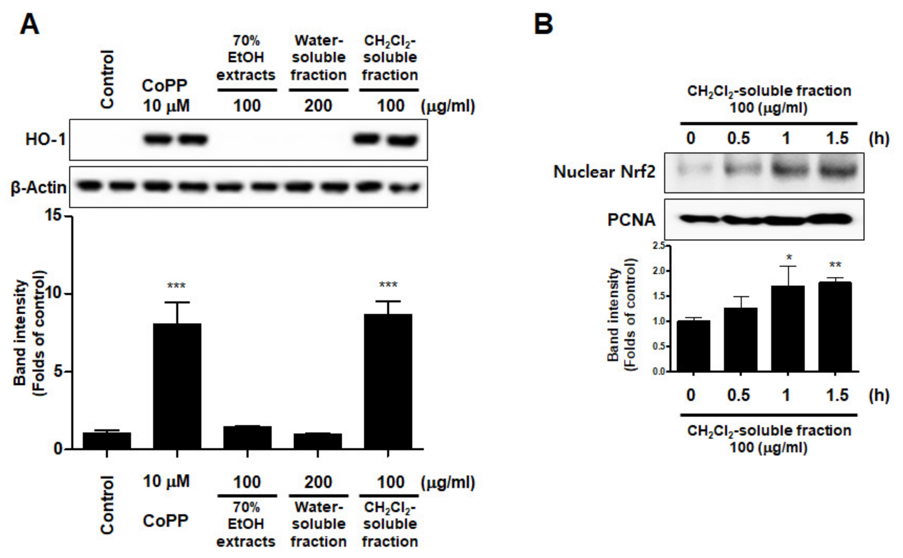 Antioxidants 10 00859 g011