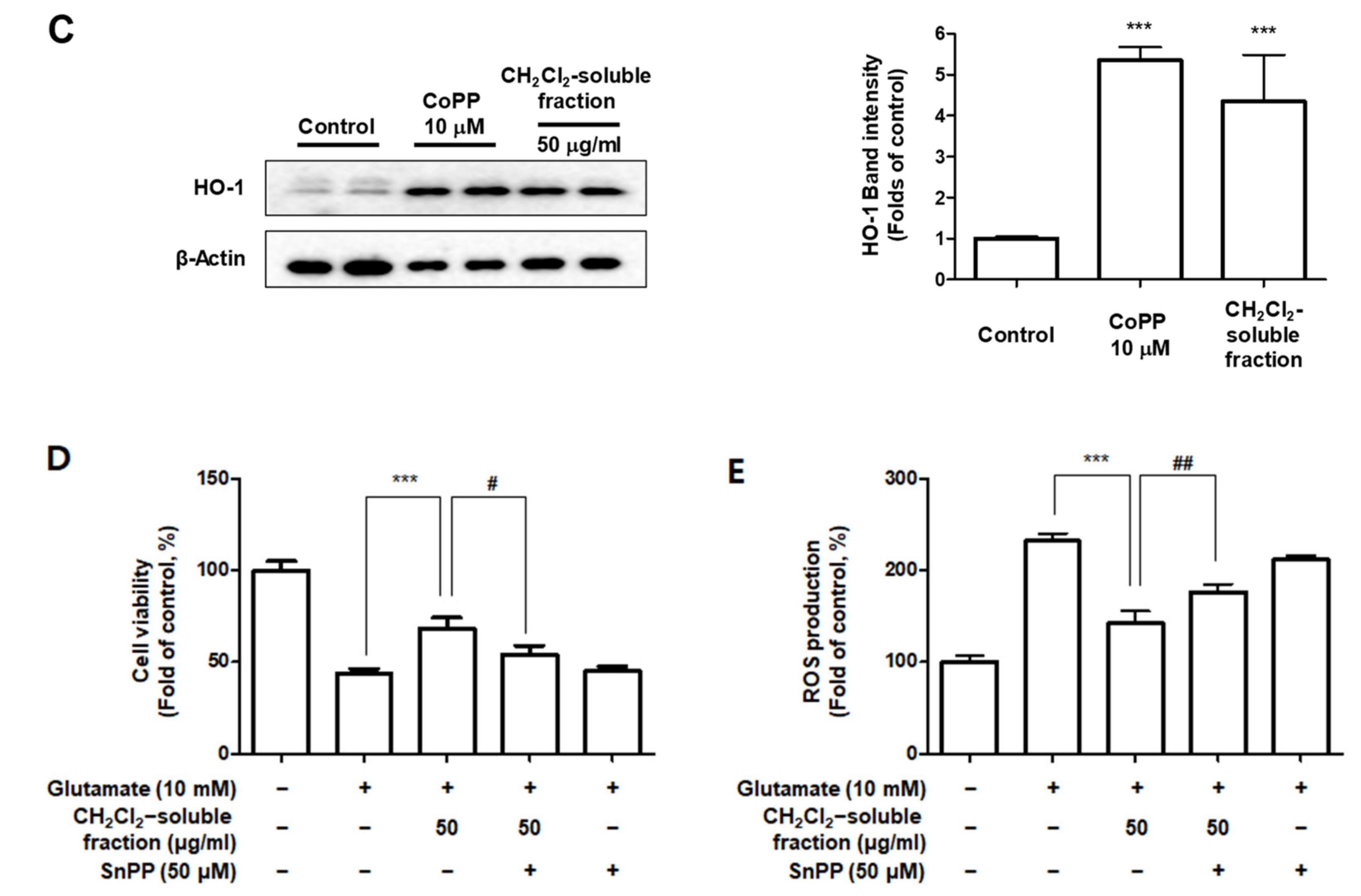 Antioxidants 10 00859 g013b