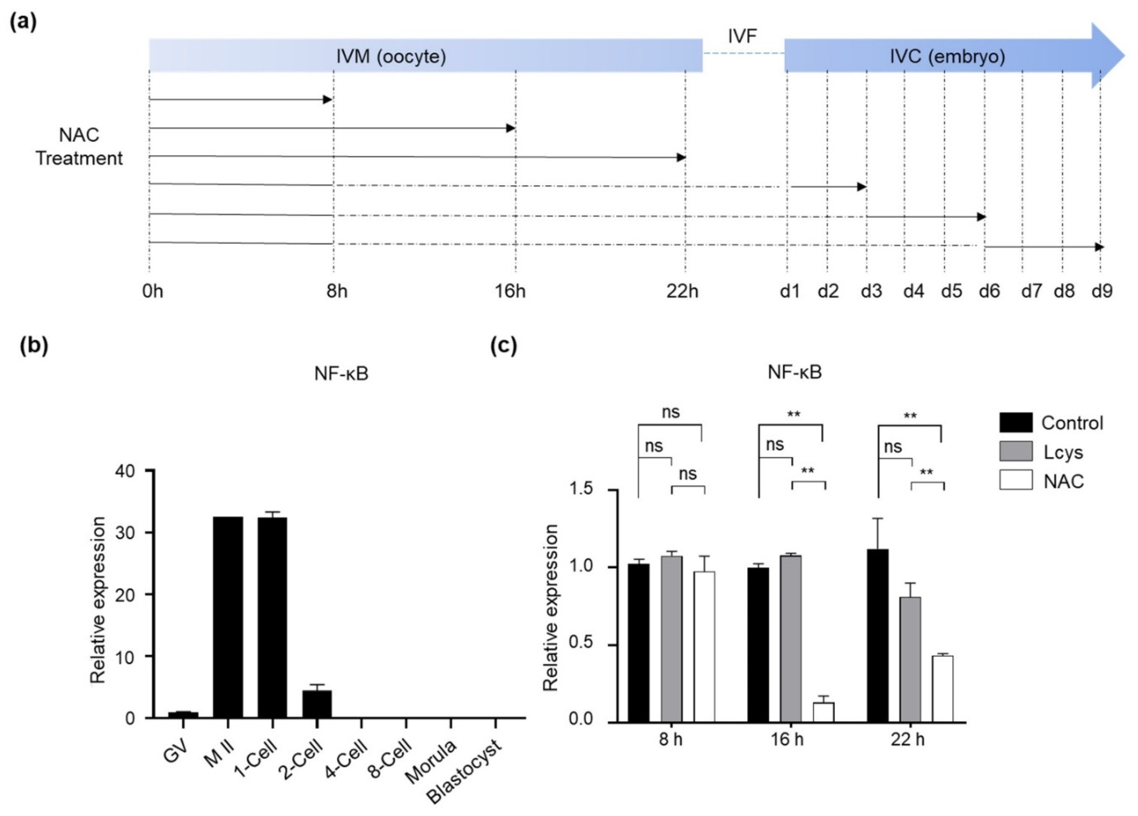 Antioxidants 10 00860 g001