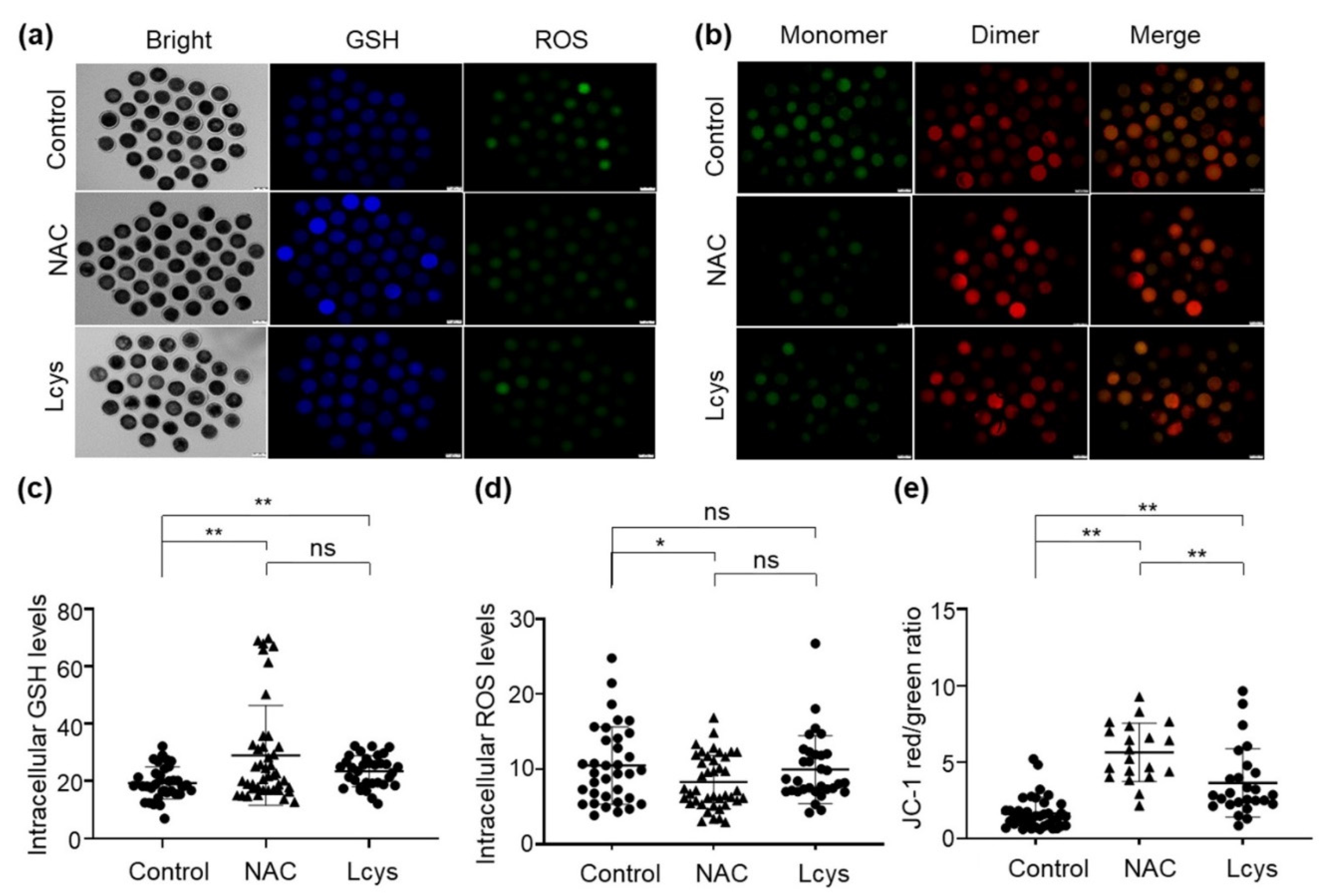 Antioxidants 10 00860 g002
