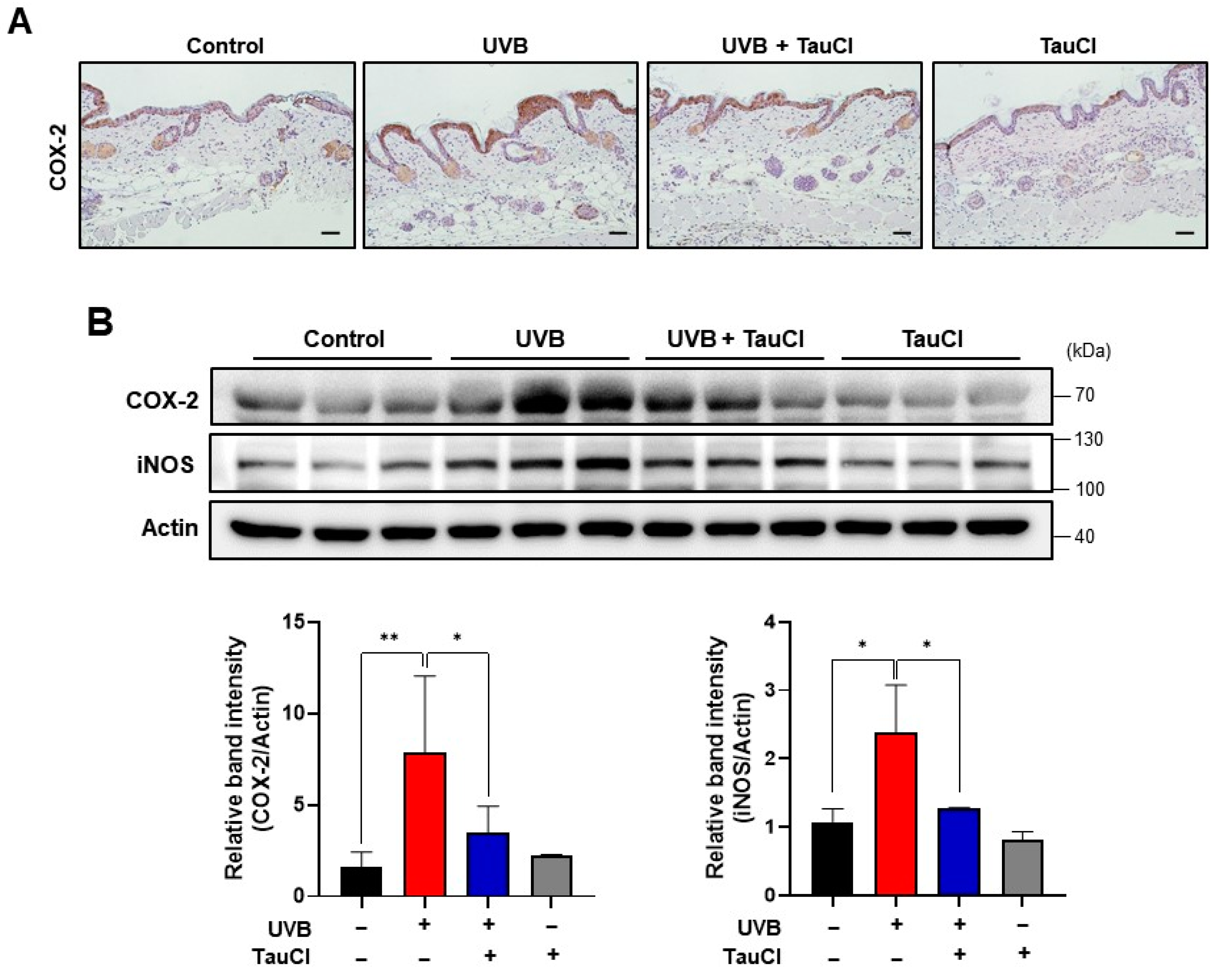 Antioxidants 10 00867 g002 Antioxidants 10 00867 g002