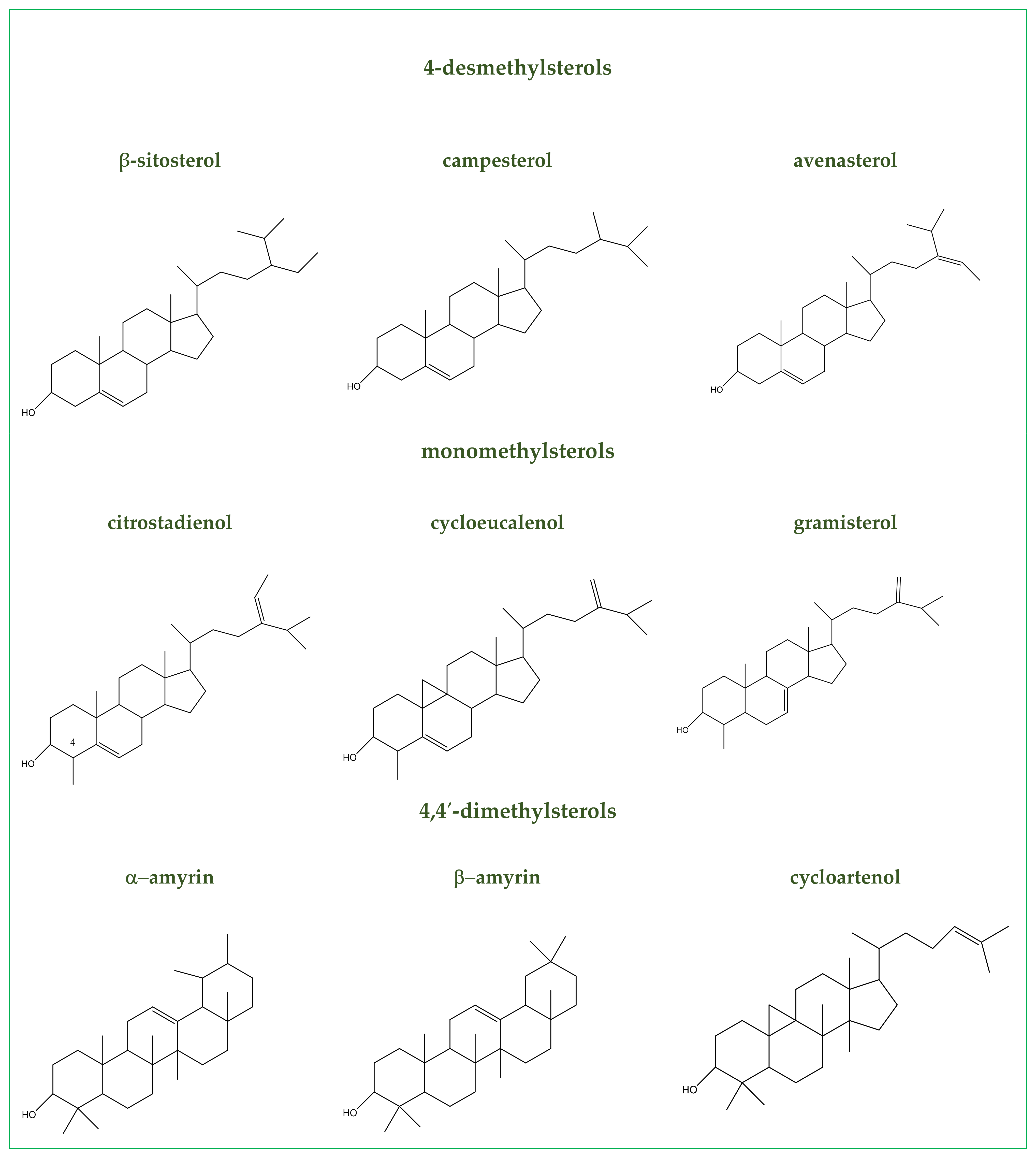 Antioxidants 10 00868 g001