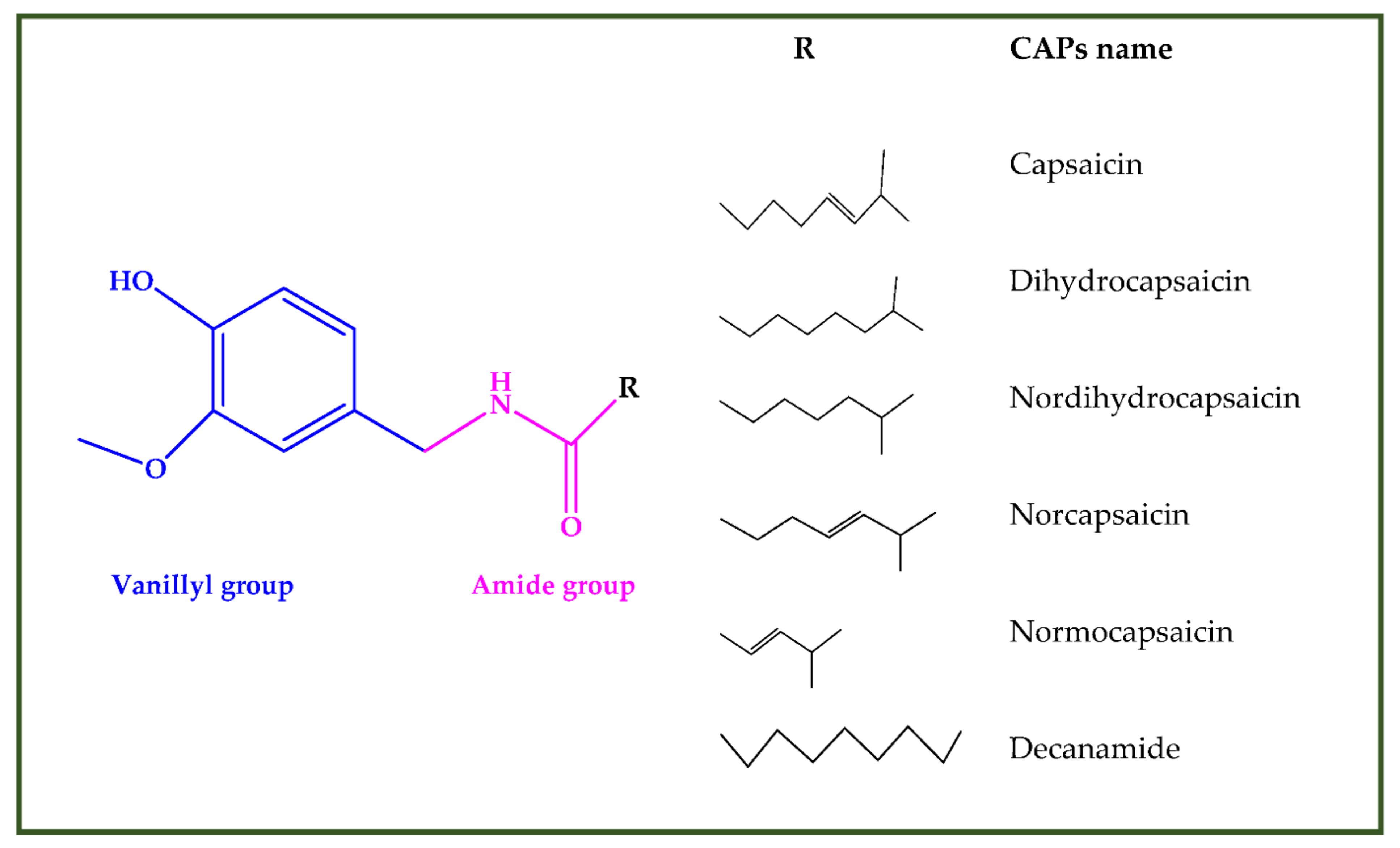 Antioxidants 10 00868 g003