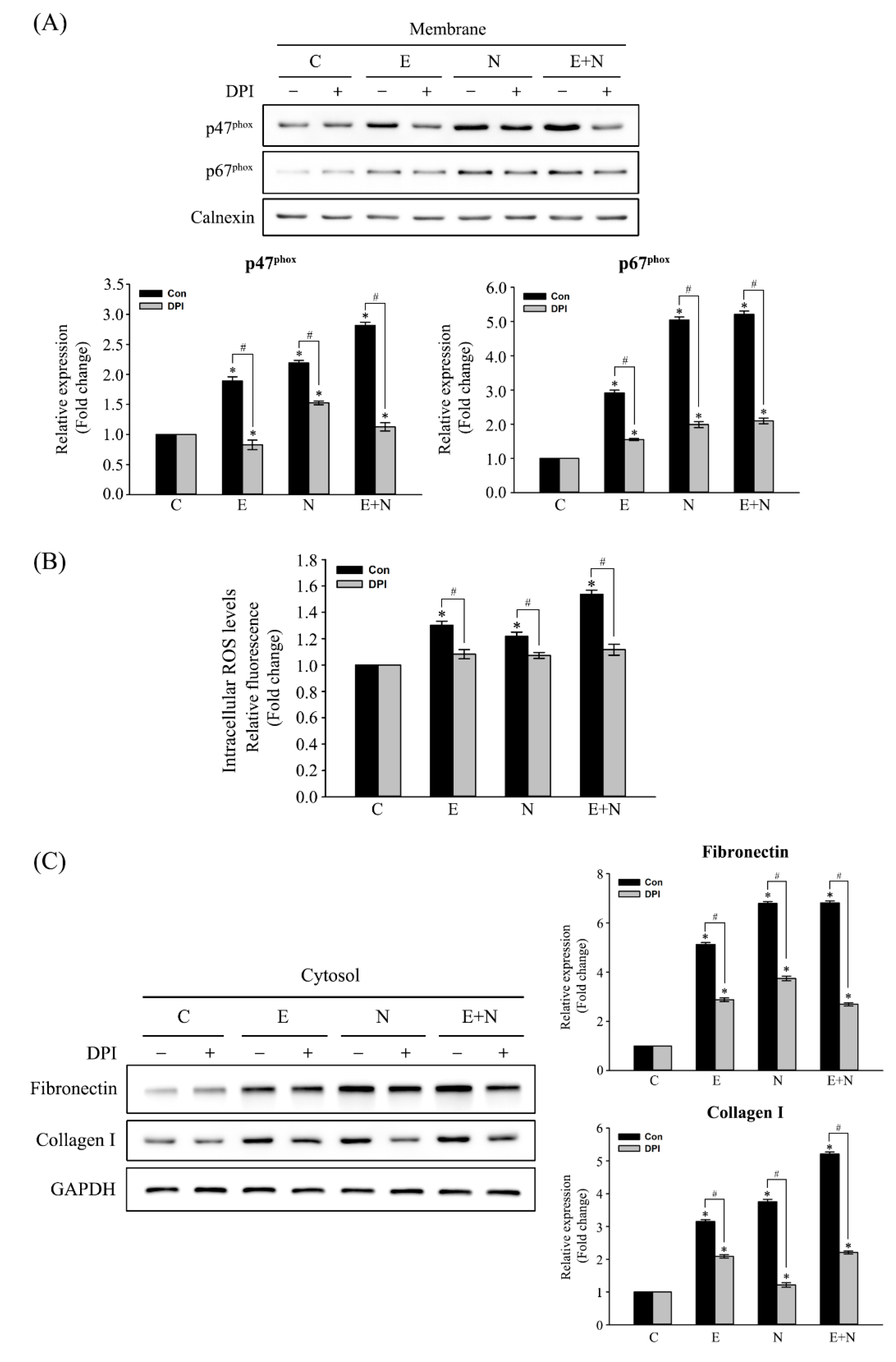 Antioxidants 10 00869 g002