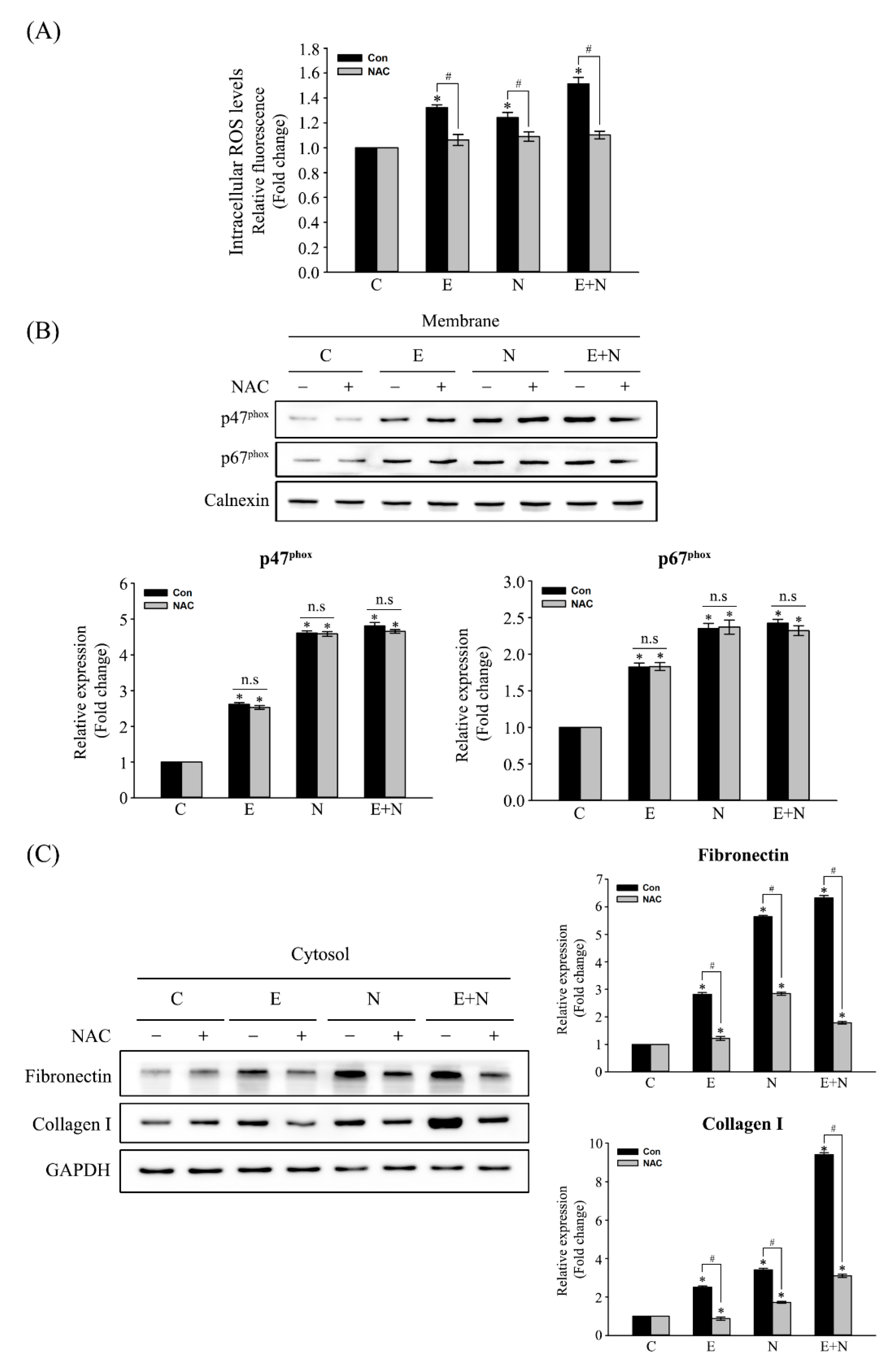 Antioxidants 10 00869 g003