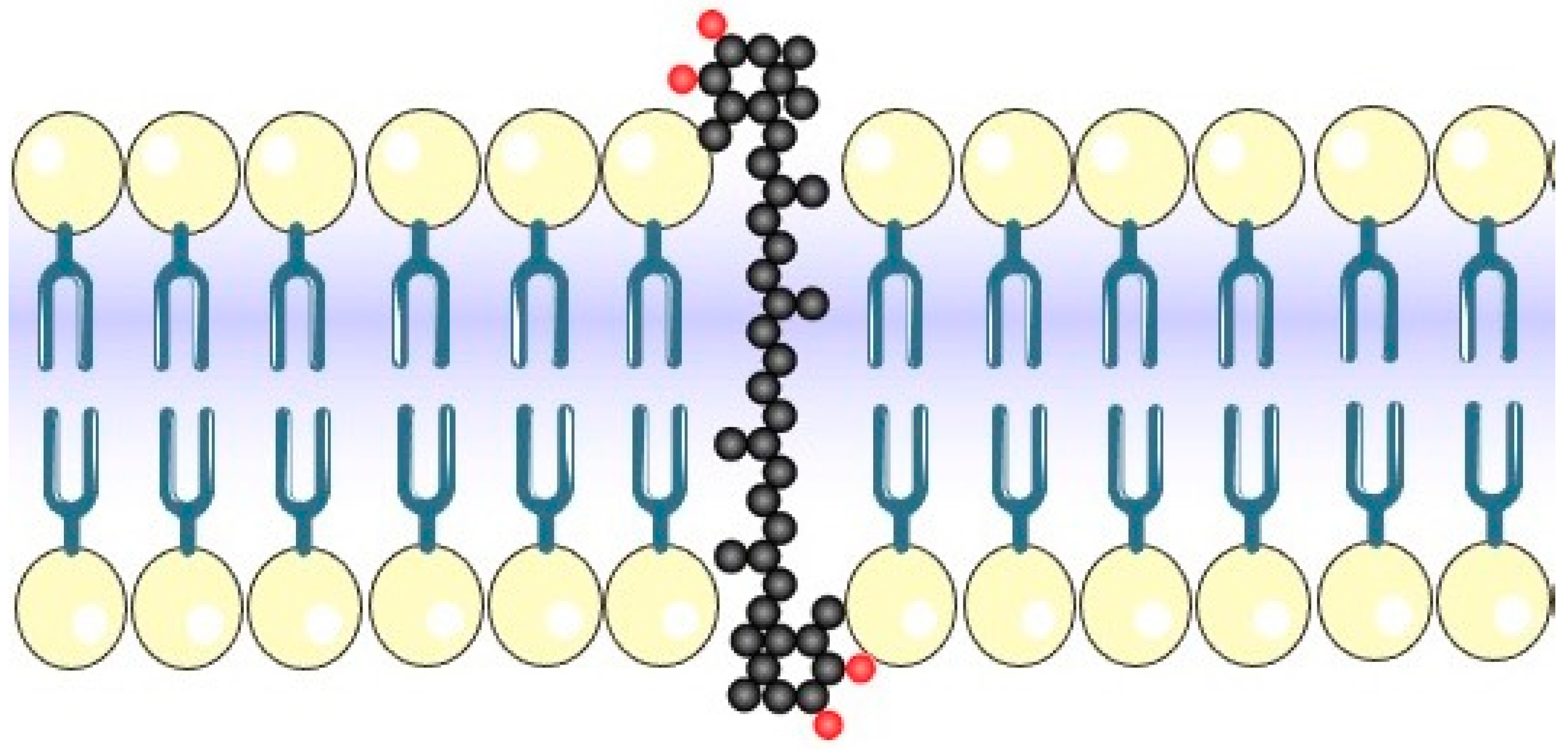 Antioxidants 10 00870 g002