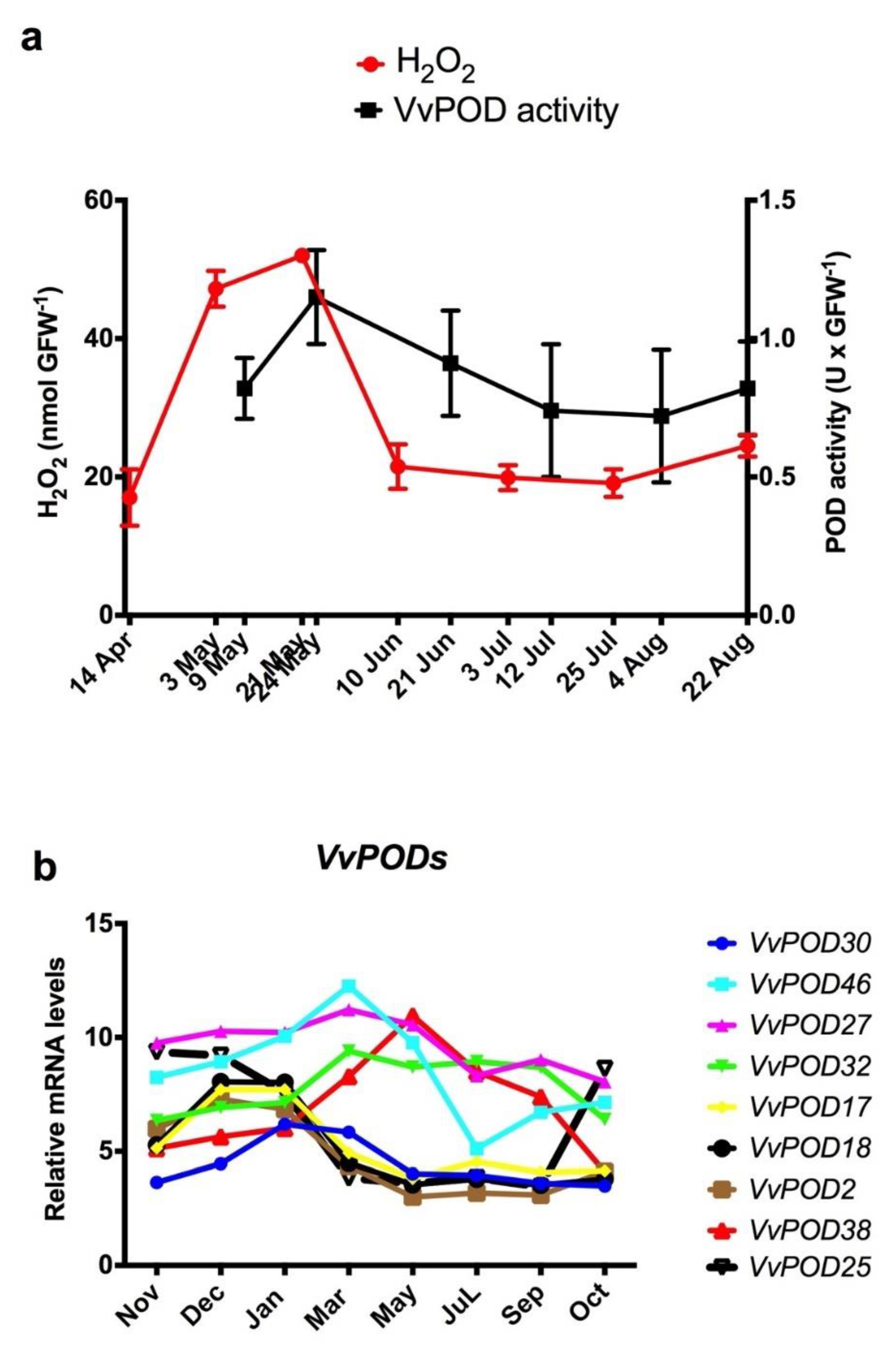 Antioxidants 10 00873 g002