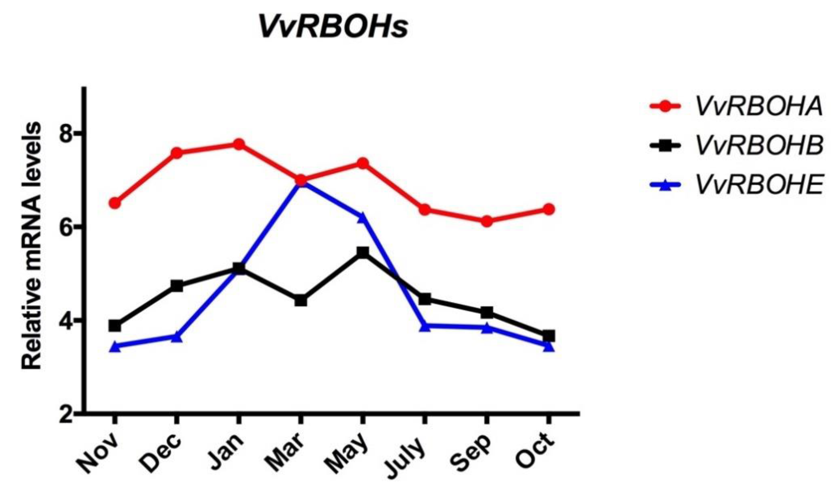 Antioxidants 10 00873 g003