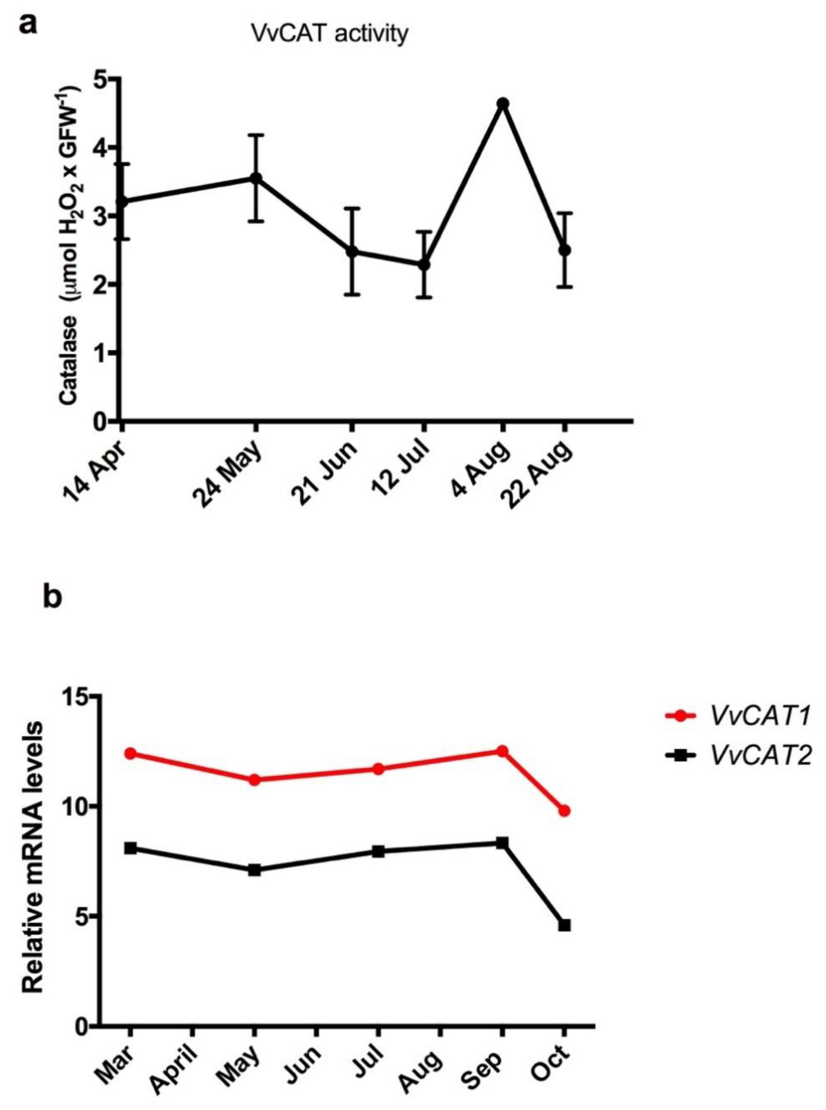 Antioxidants 10 00873 g004