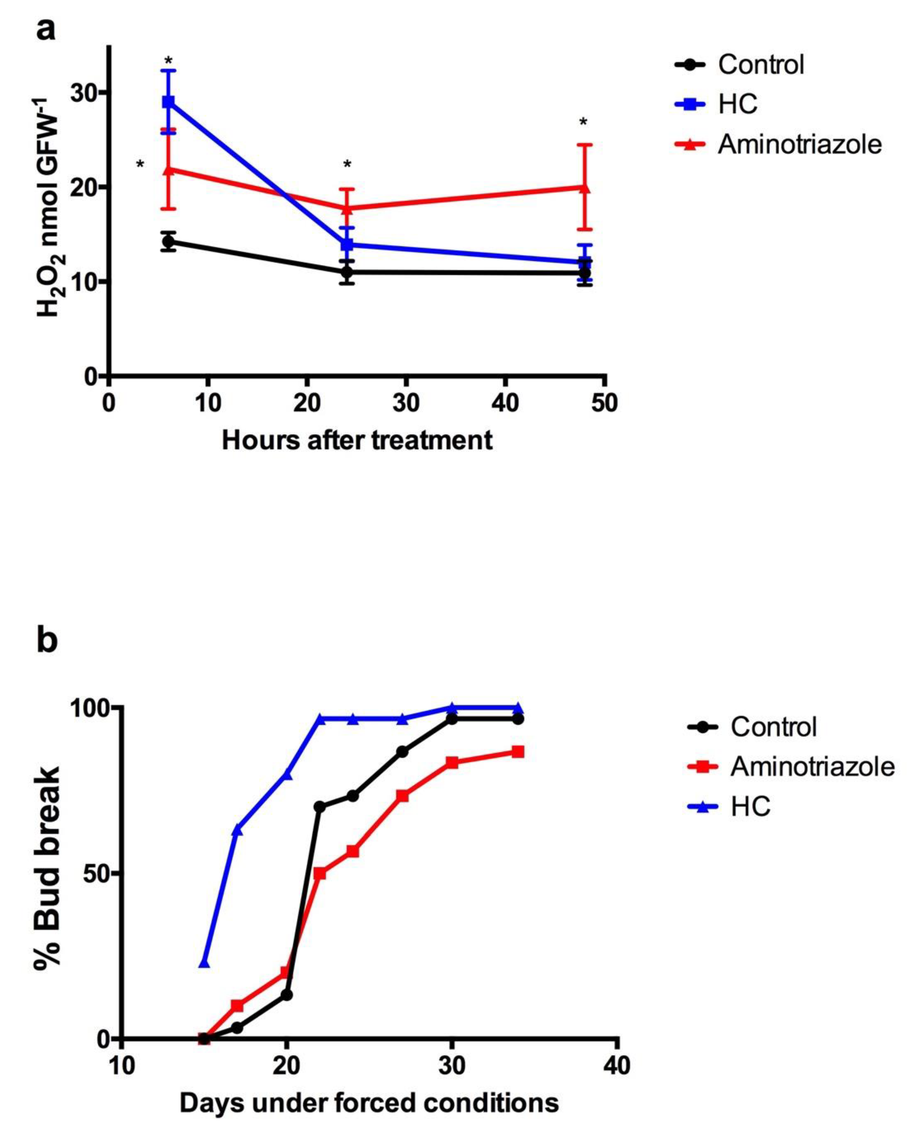 Antioxidants 10 00873 g005