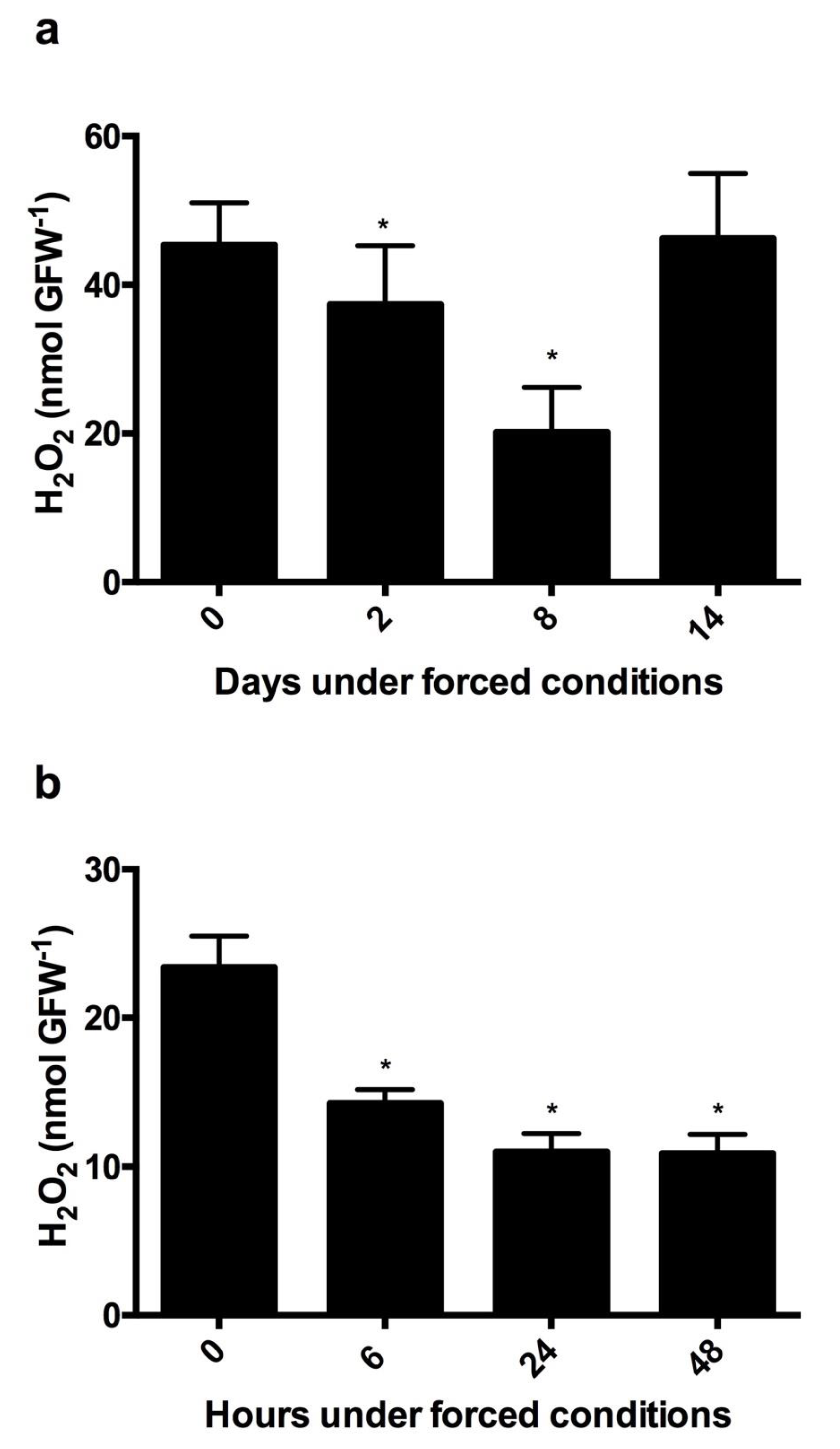 Antioxidants 10 00873 g006