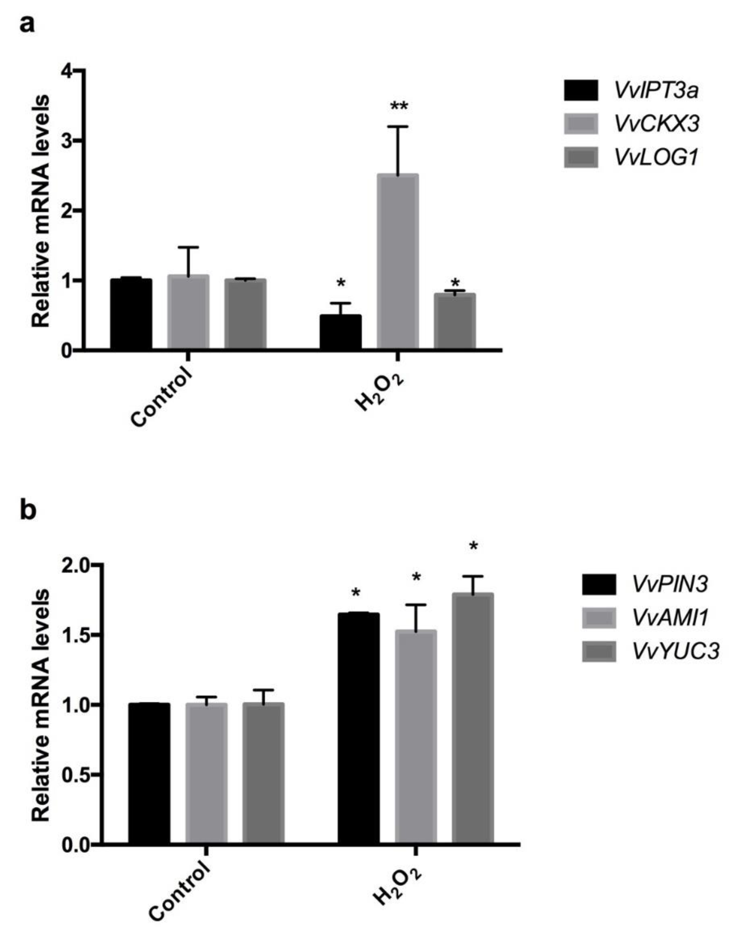 Antioxidants 10 00873 g007