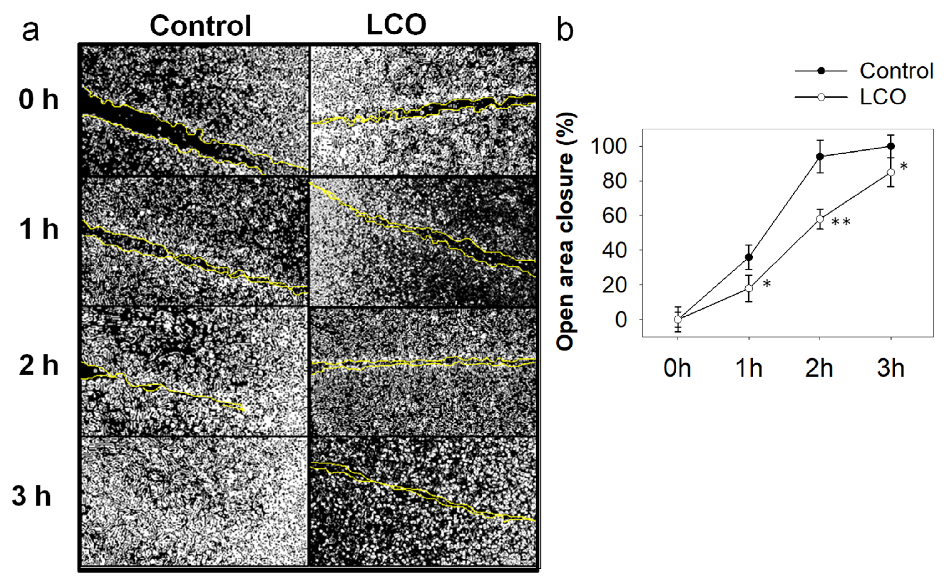 Antioxidants 10 00875 g003 Antioxidants 10 00875 g003