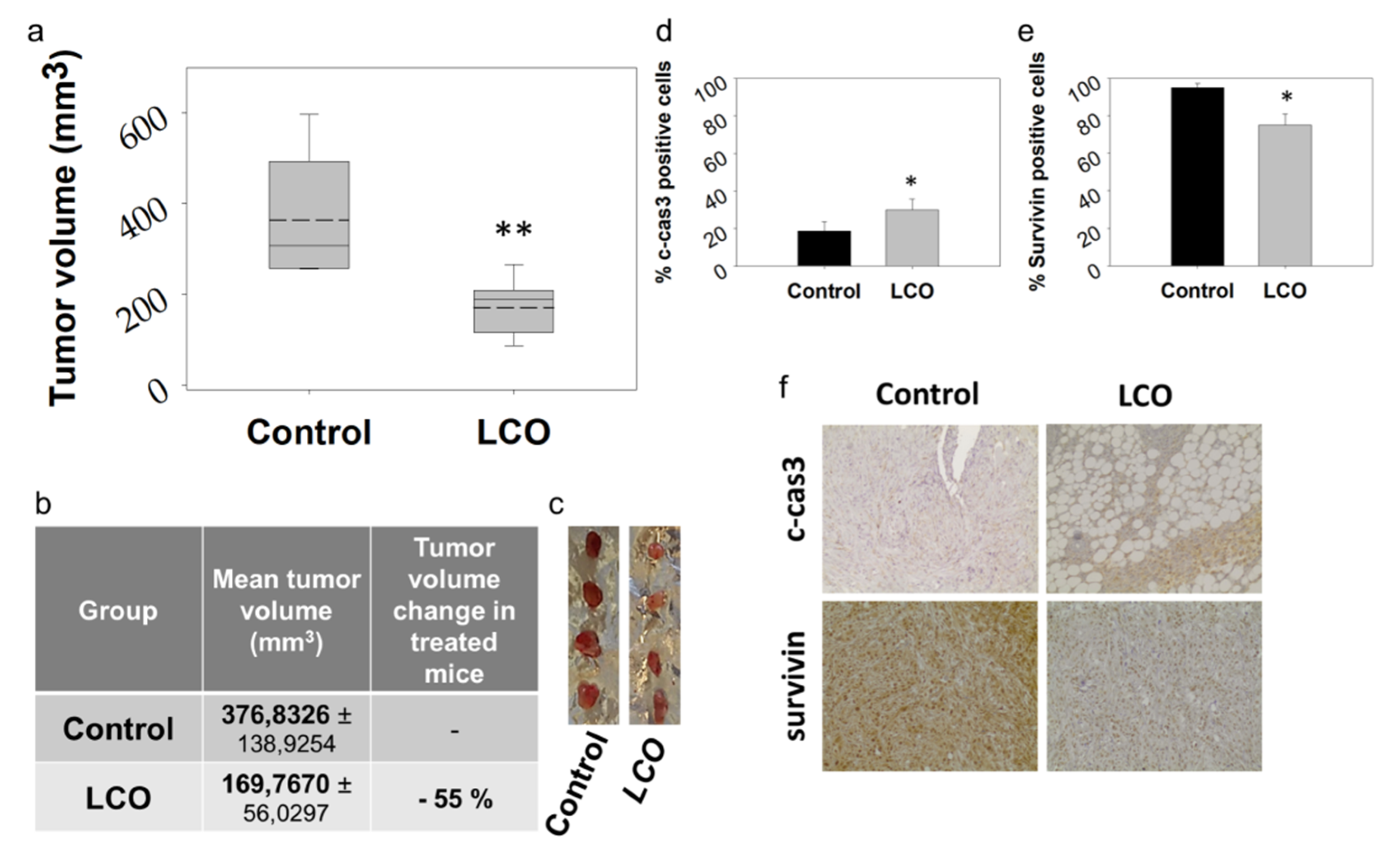 Antioxidants 10 00875 g005 Antioxidants 10 00875 g005
