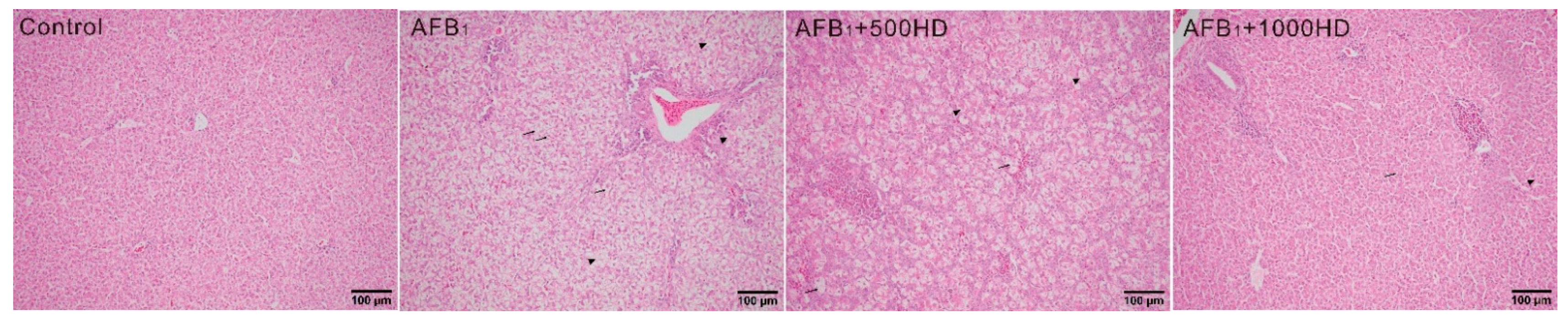 Antioxidants 10 00878 g001