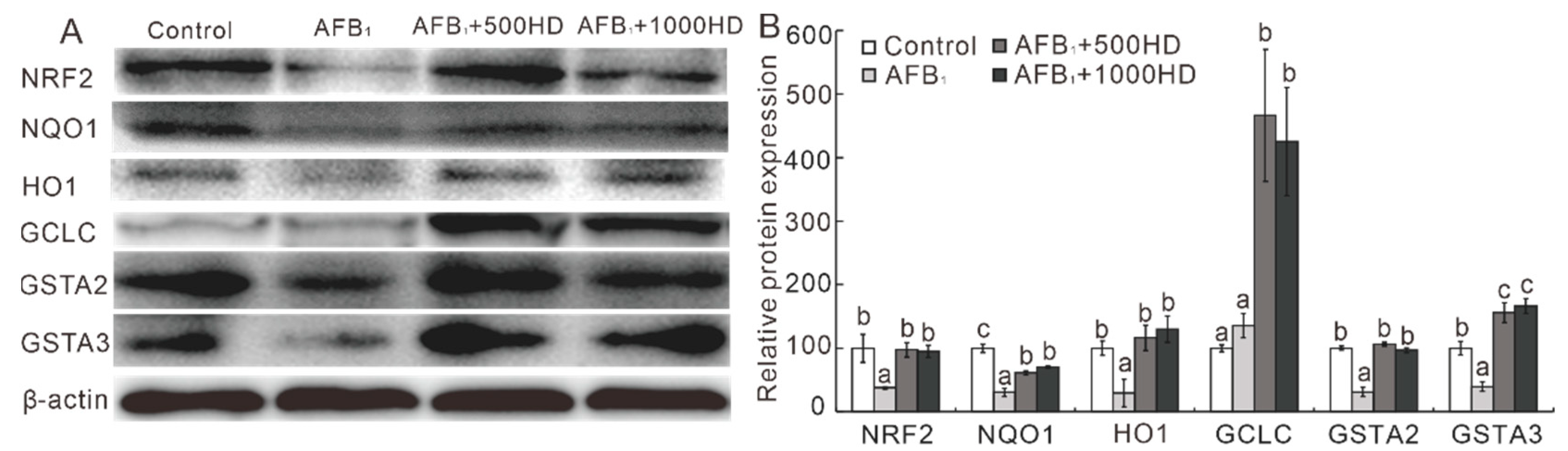 Antioxidants 10 00878 g004