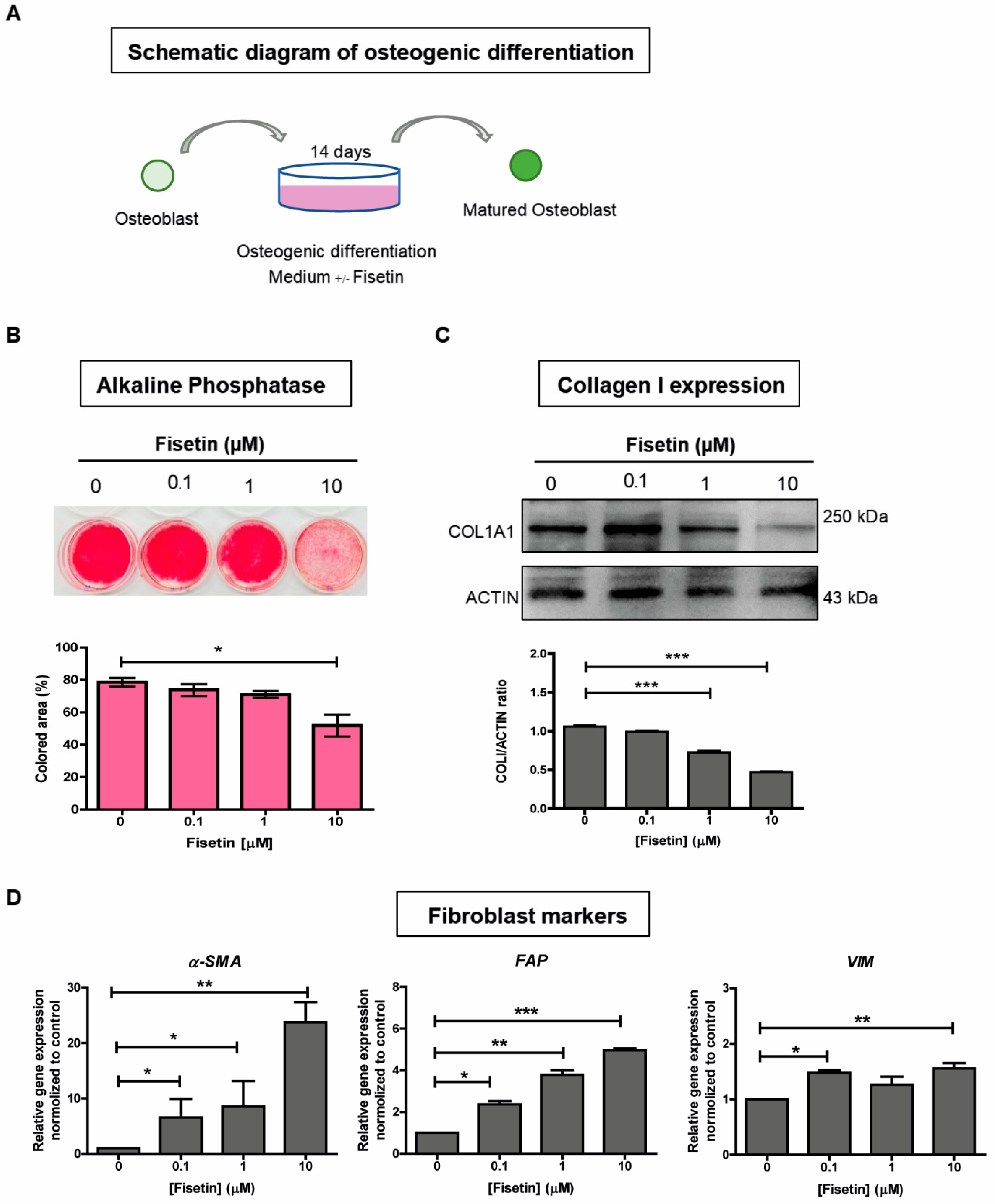 Antioxidants 10 00879 g004