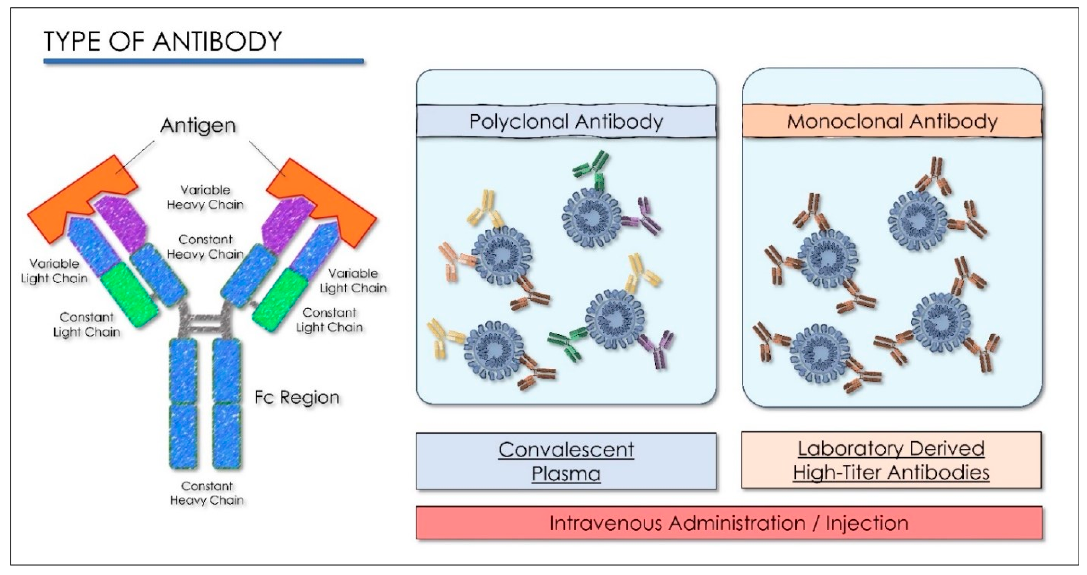Antioxidants 10 00881 g003