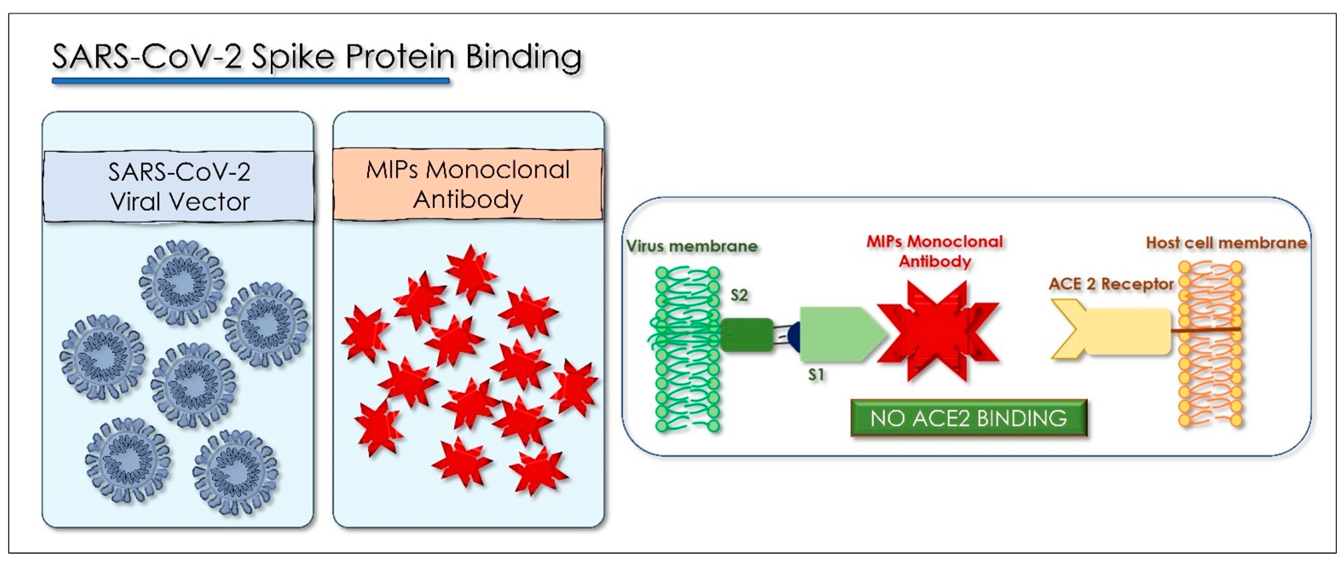 Antioxidants 10 00881 g006