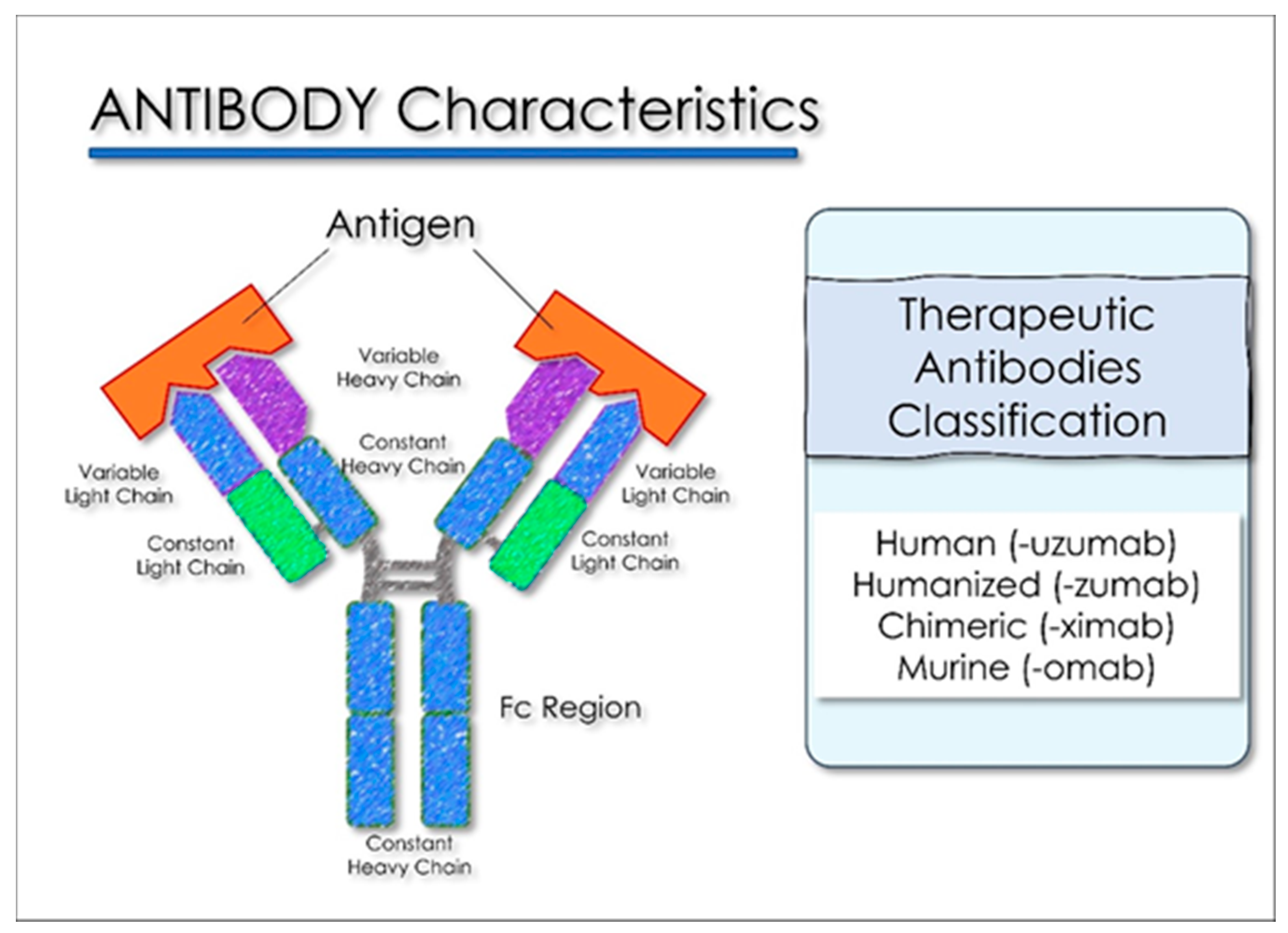 Antioxidants 10 00881 g007