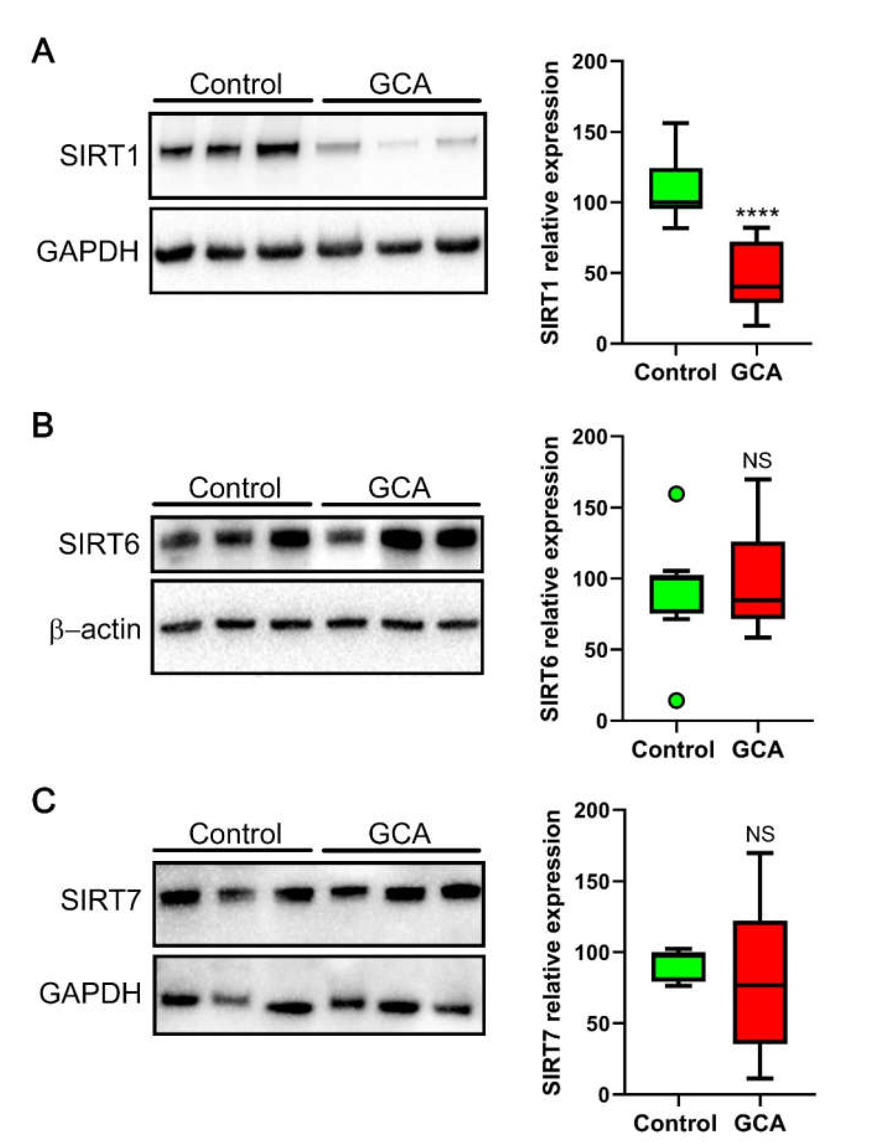 Antioxidants 10 00885 g003