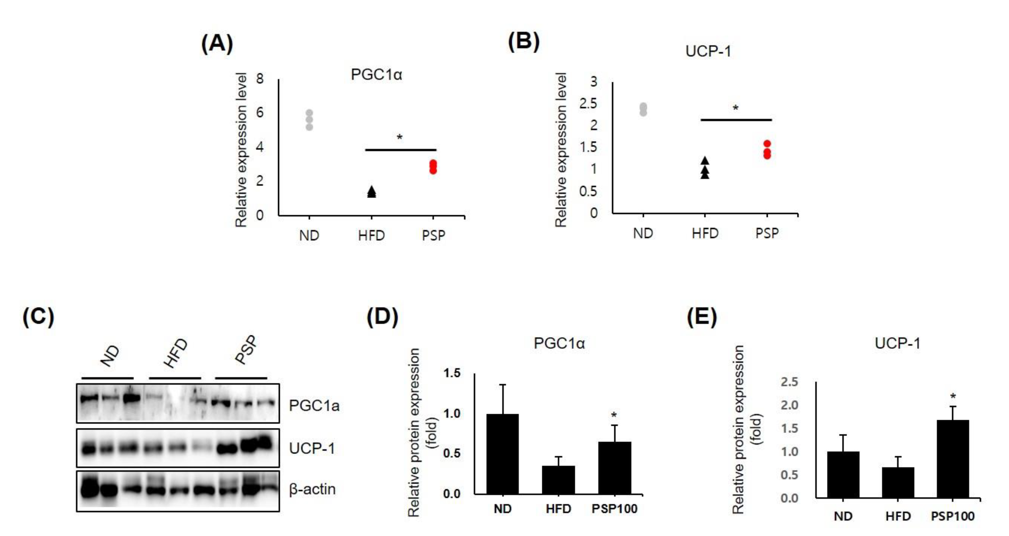 Antioxidants 10 00888 g003 Antioxidants 10 00888 g003