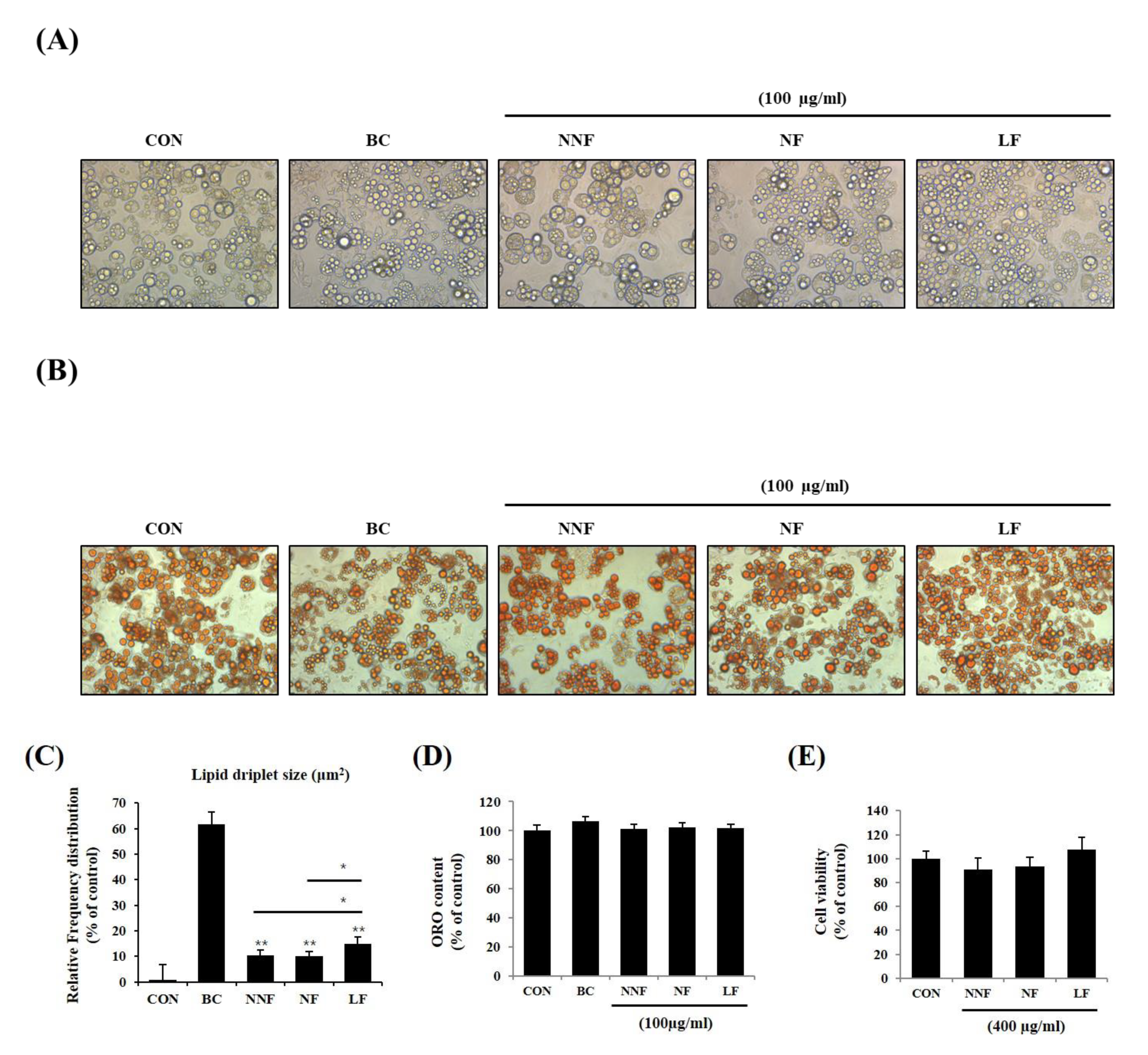 Antioxidants 10 00888 g005 Antioxidants 10 00888 g005