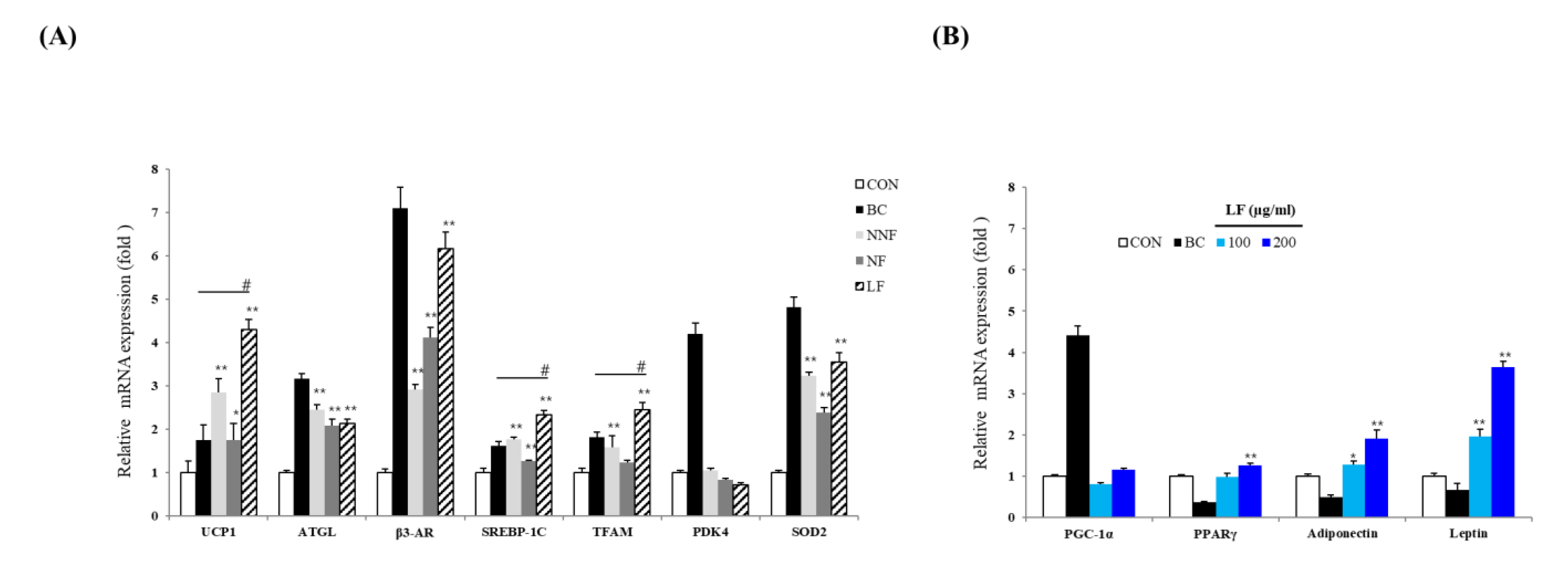 Antioxidants 10 00888 g006 Antioxidants 10 00888 g006