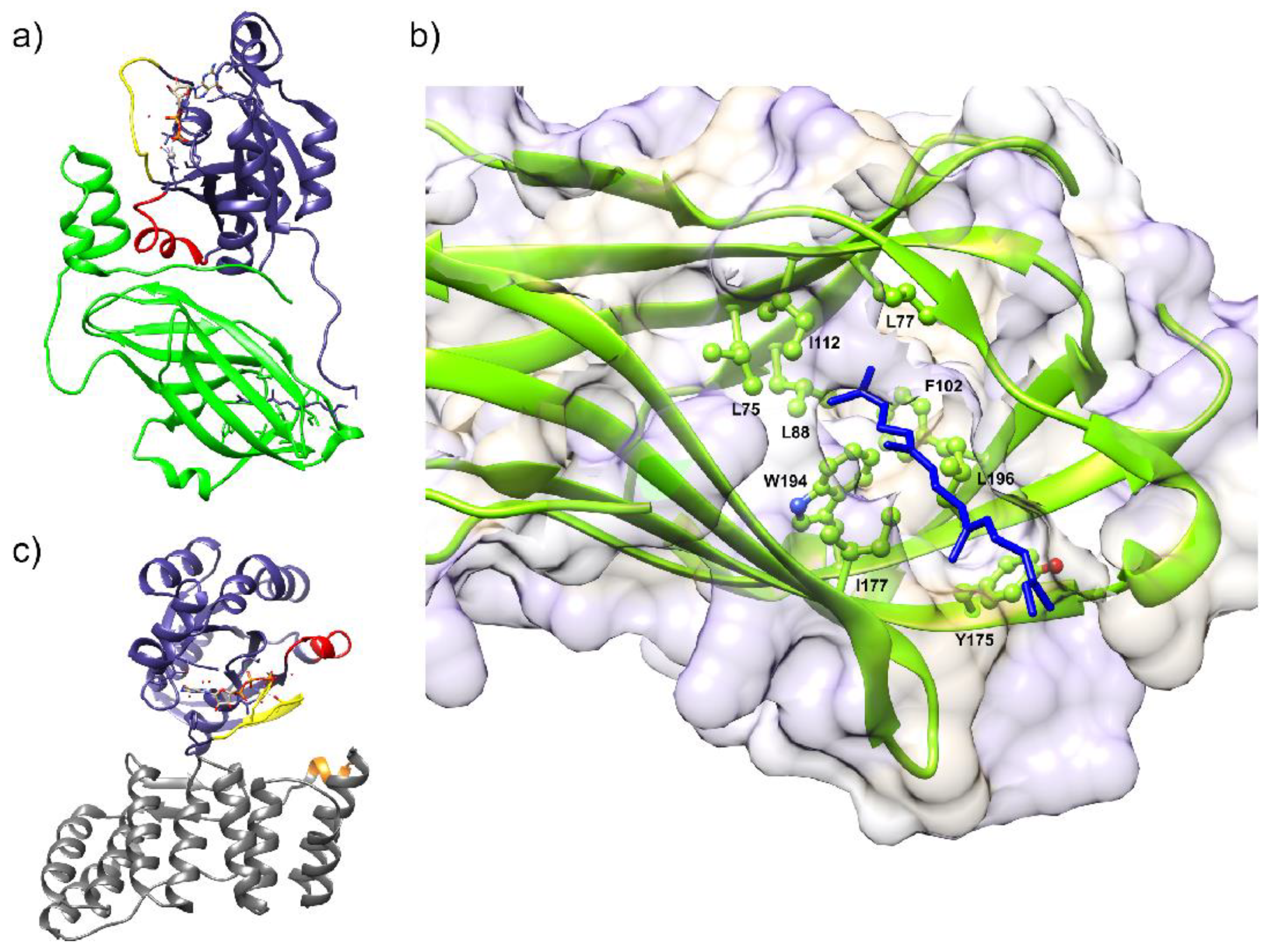 Antioxidants 10 00890 g008 Antioxidants 10 00890 g008