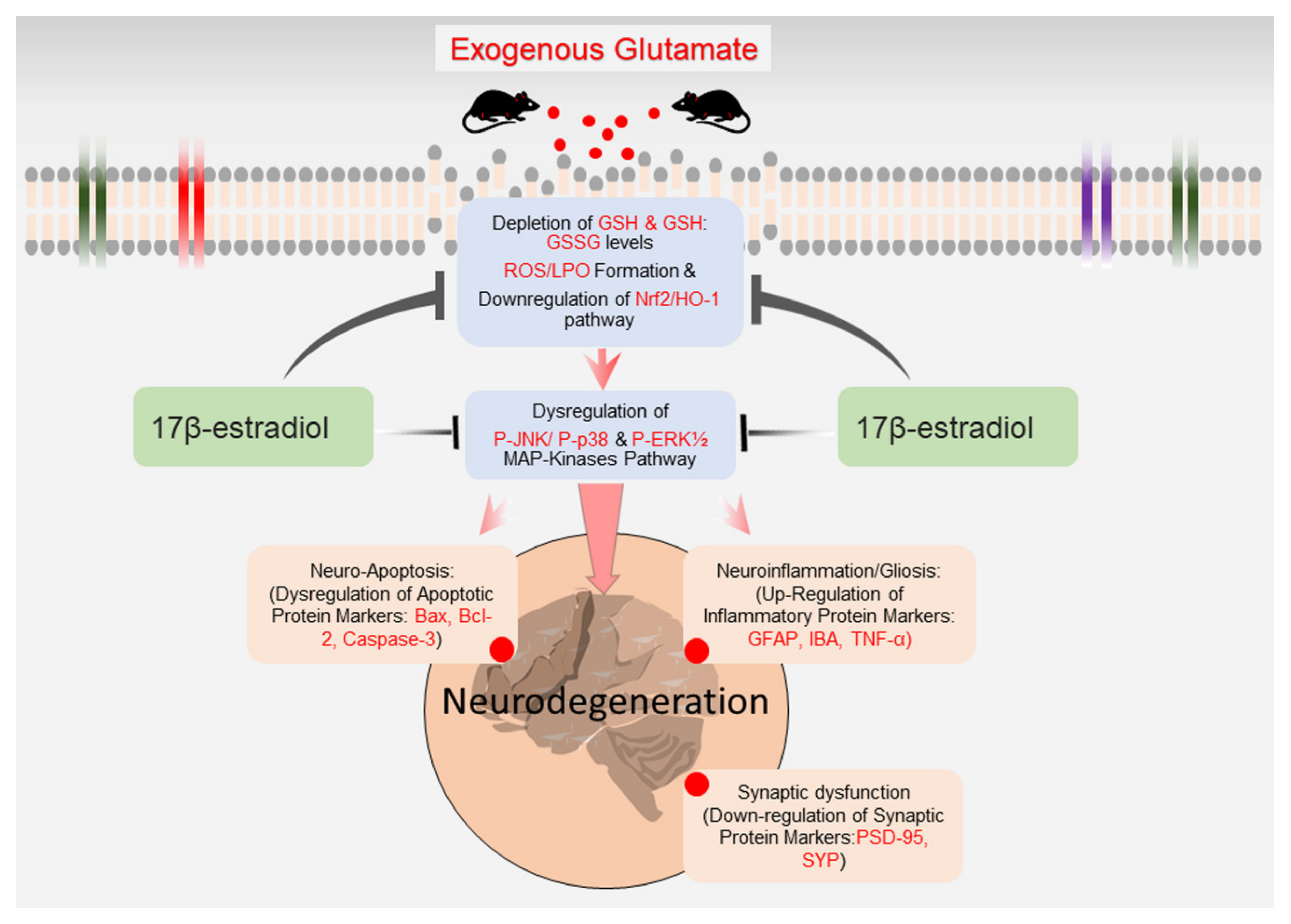 Antioxidants 10 00892 g007