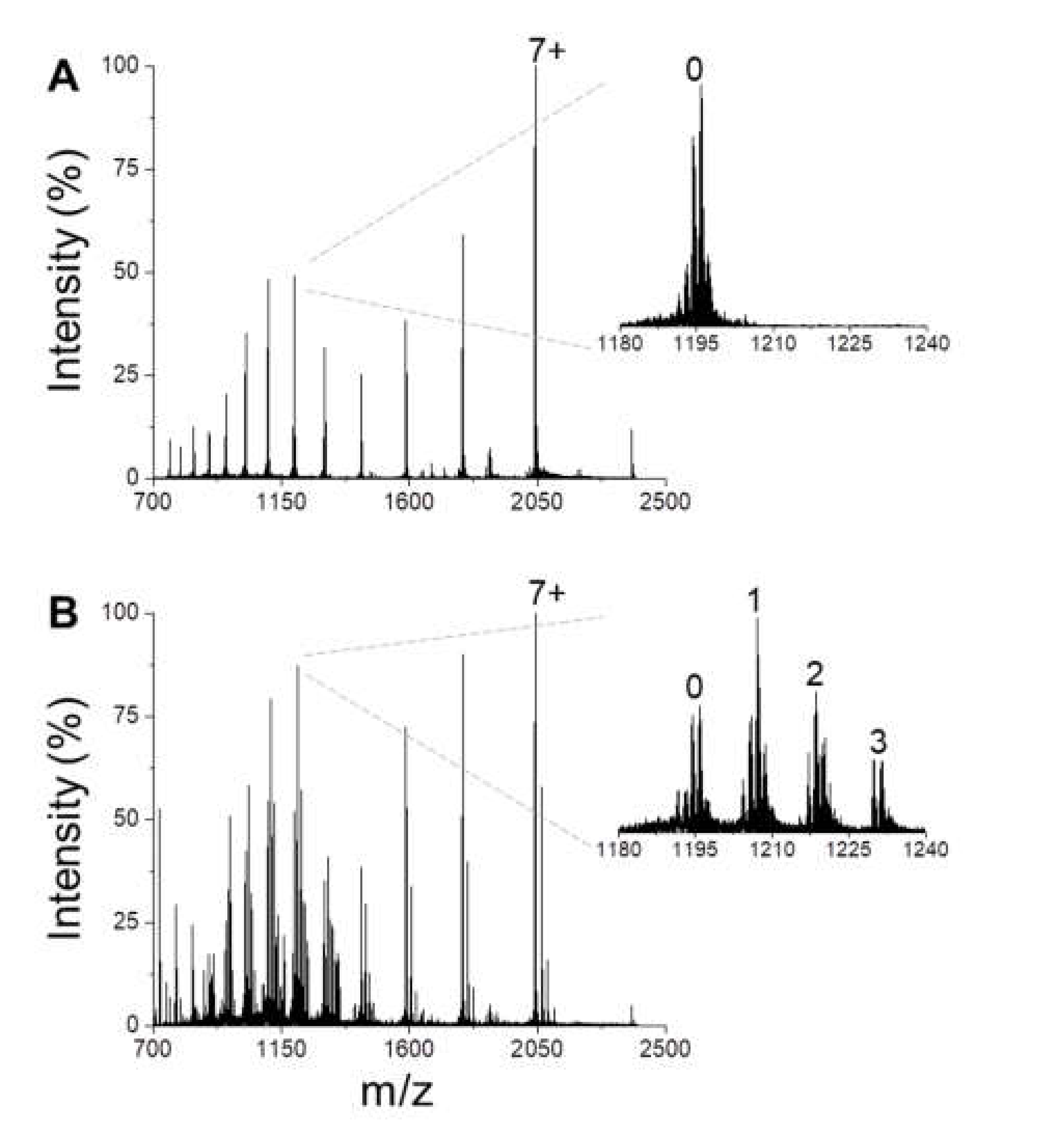 Antioxidants 10 00893 g001 Antioxidants 10 00893 g001