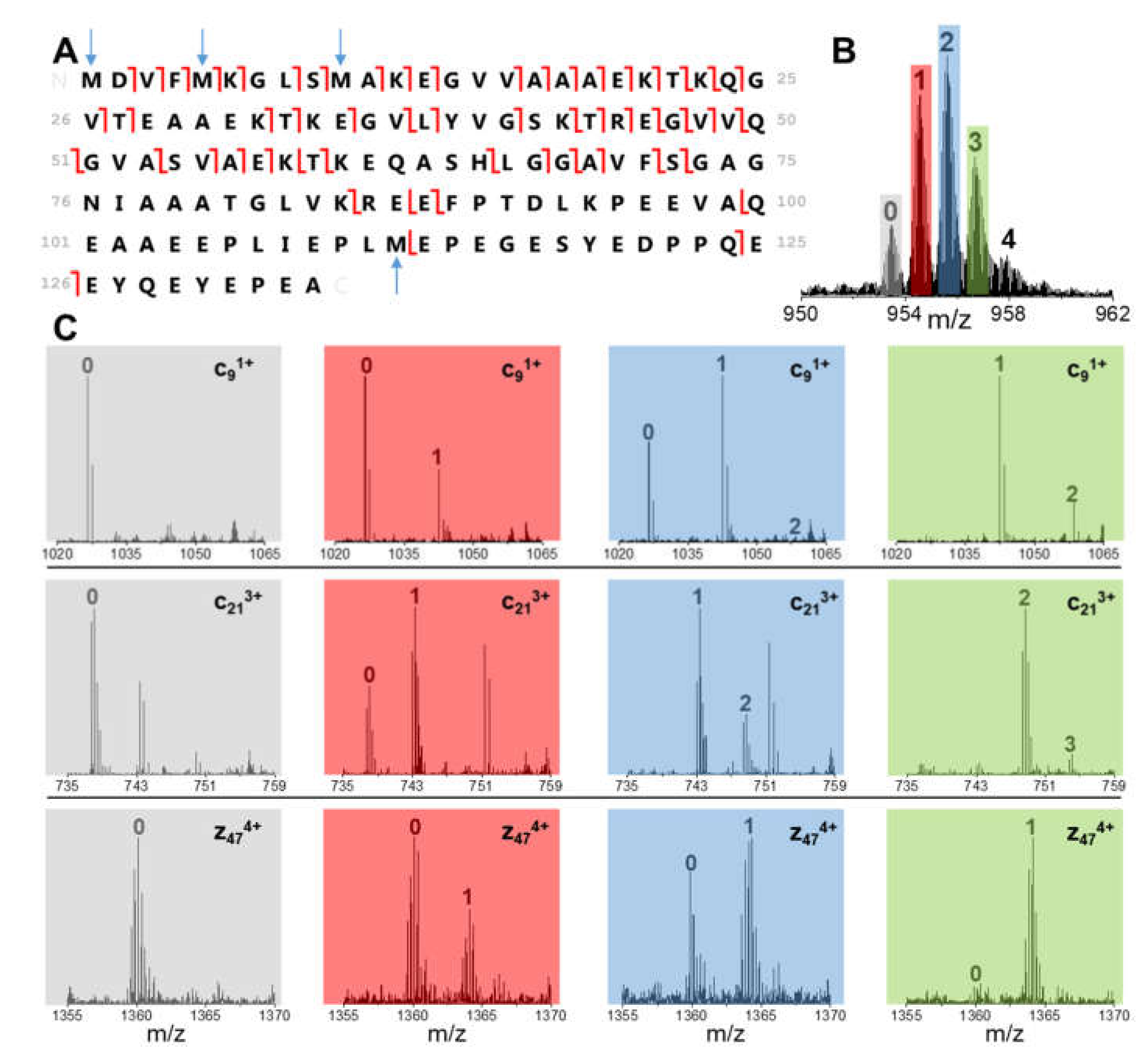 Antioxidants 10 00893 g004 Antioxidants 10 00893 g004