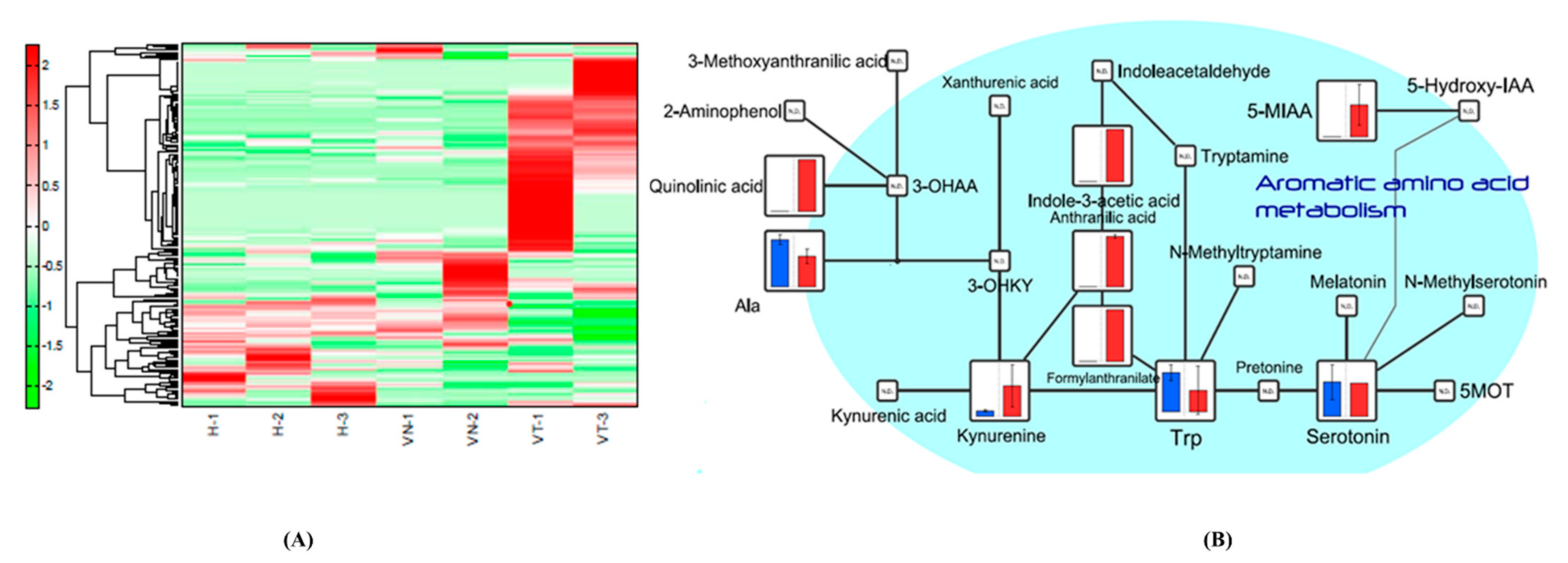 Antioxidants 10 00895 g002 Antioxidants 10 00895 g002