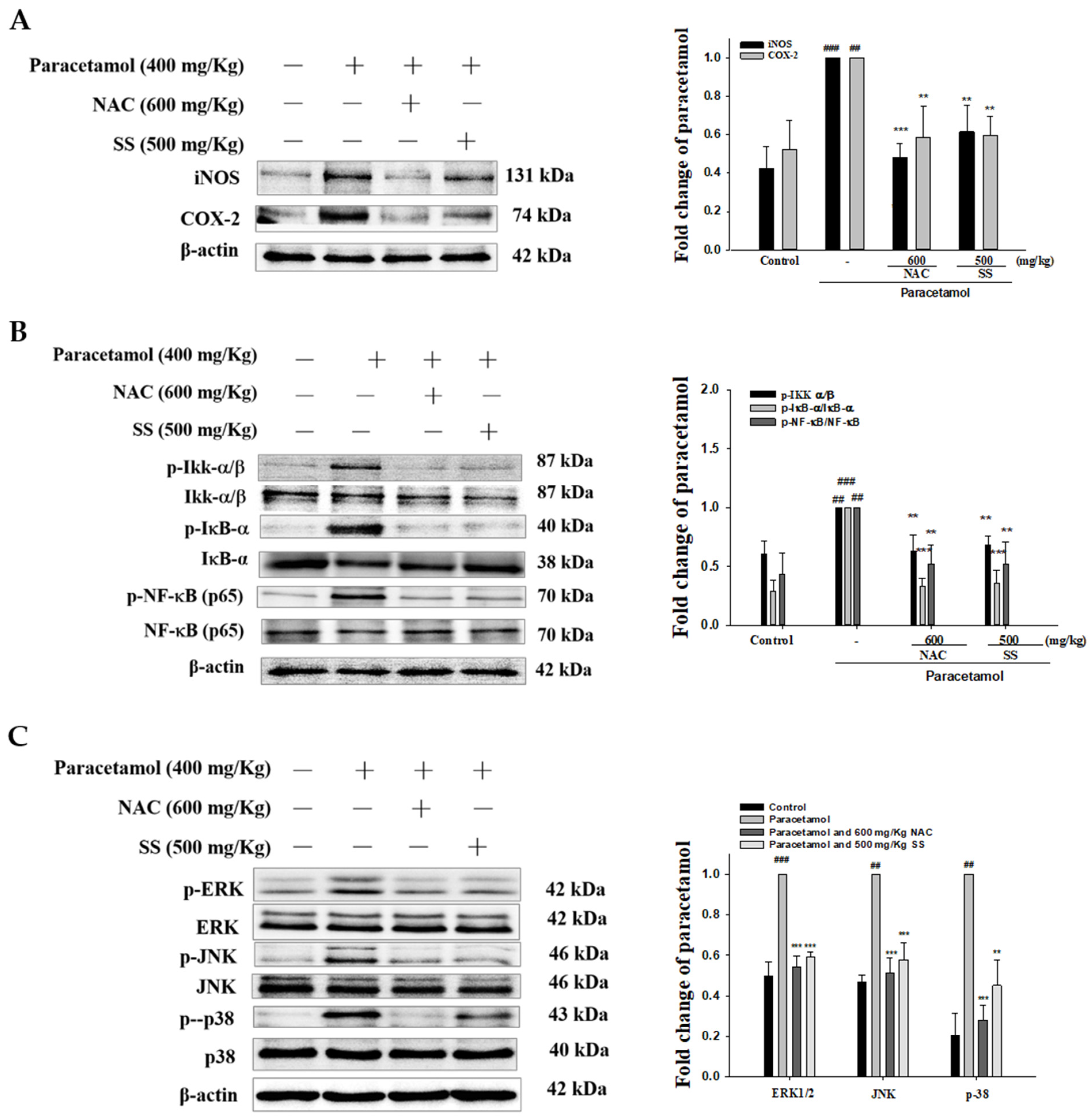 Antioxidants 10 00897 g004
