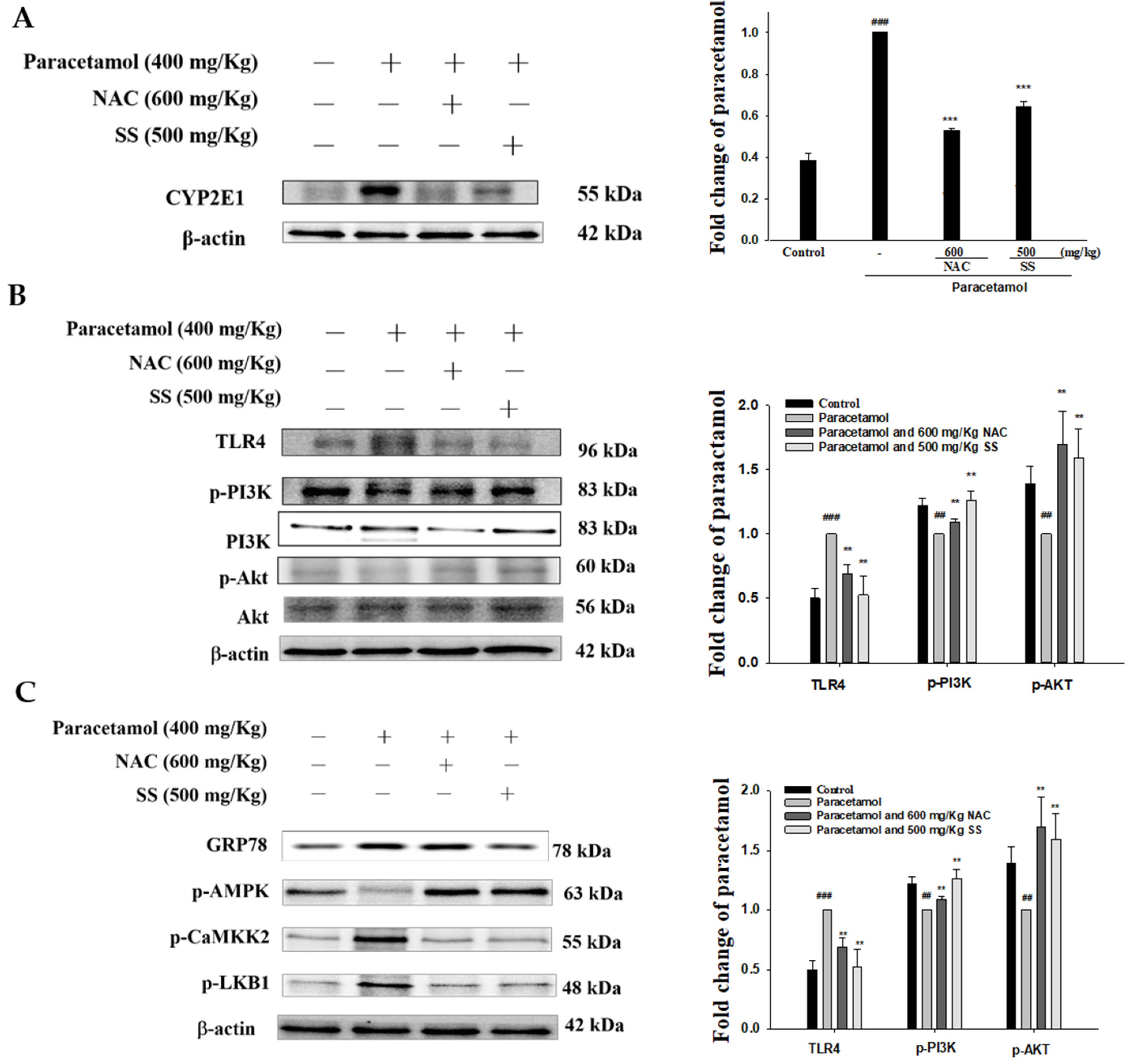 Antioxidants 10 00897 g006