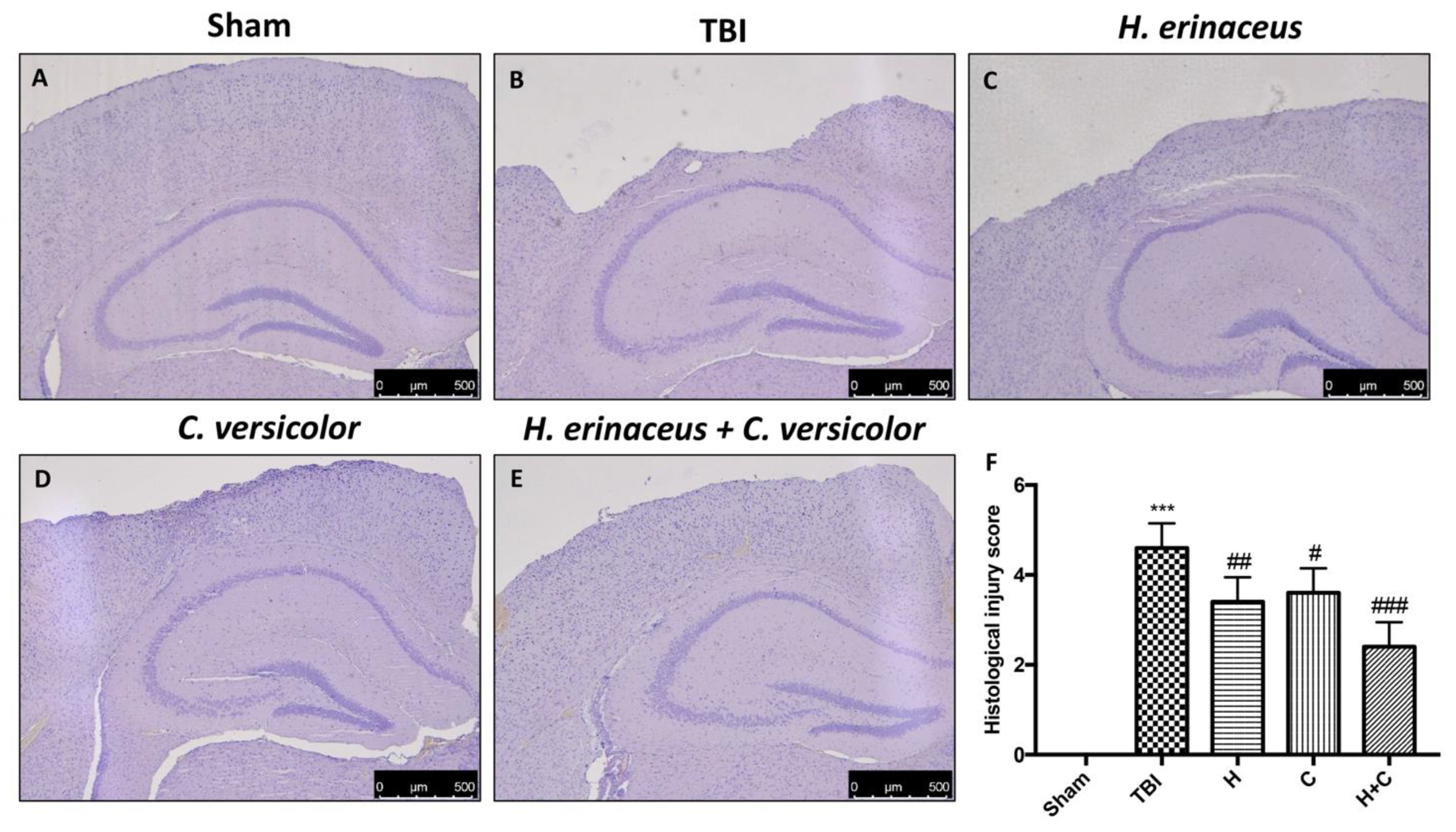 Antioxidants 10 00898 g001