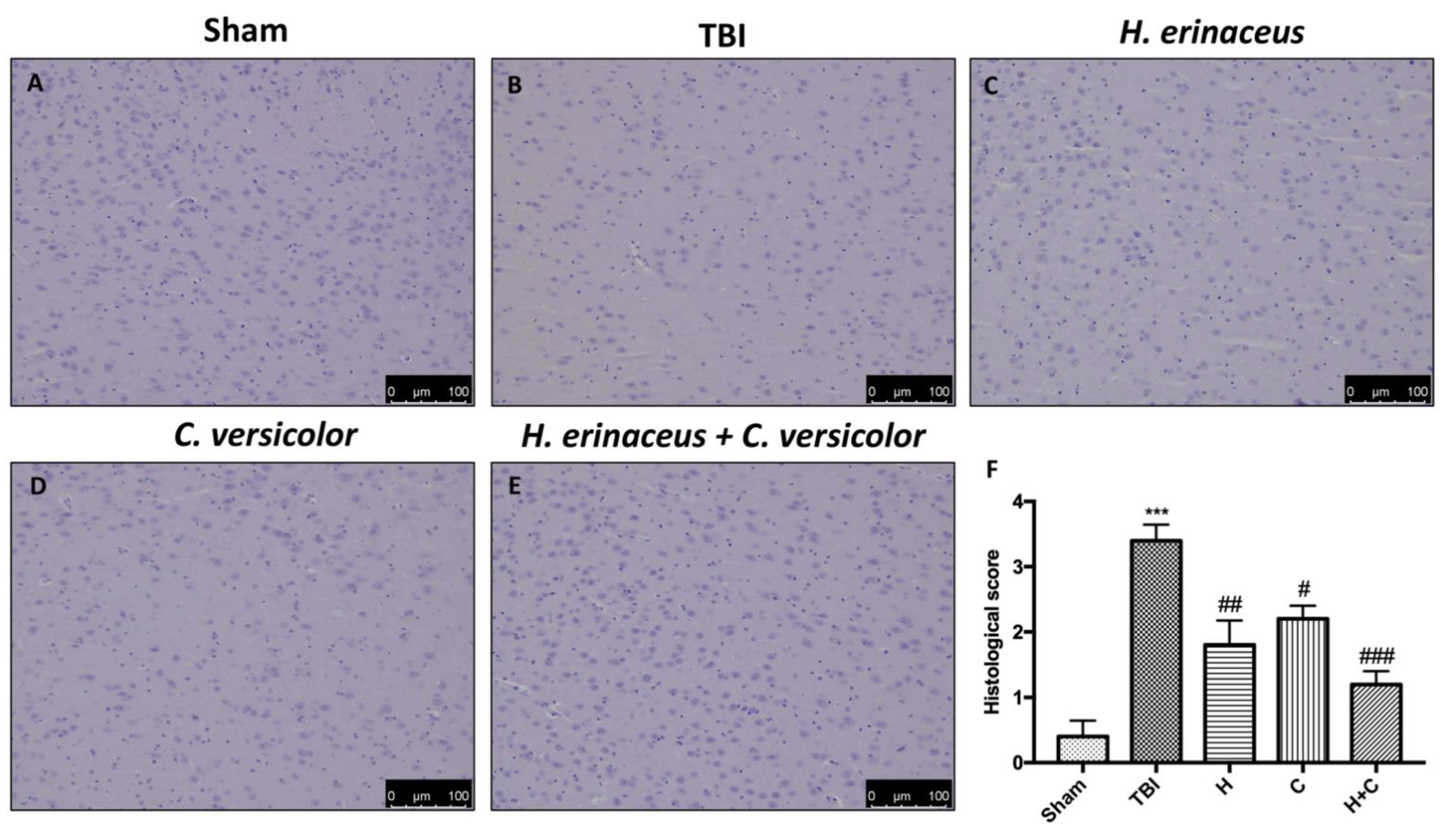 Antioxidants 10 00898 g002